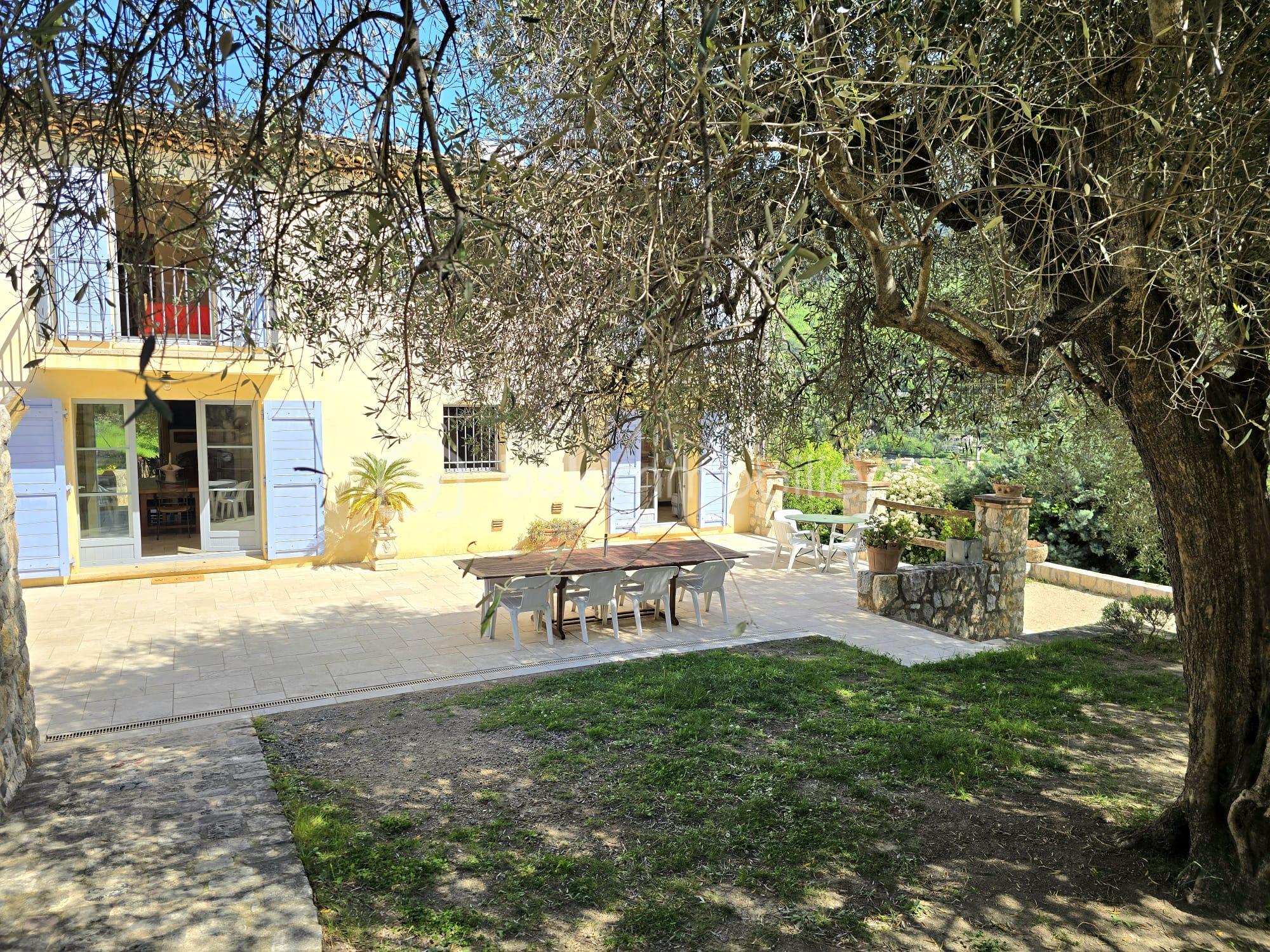 TERRASSE OLIVIER.jpeg