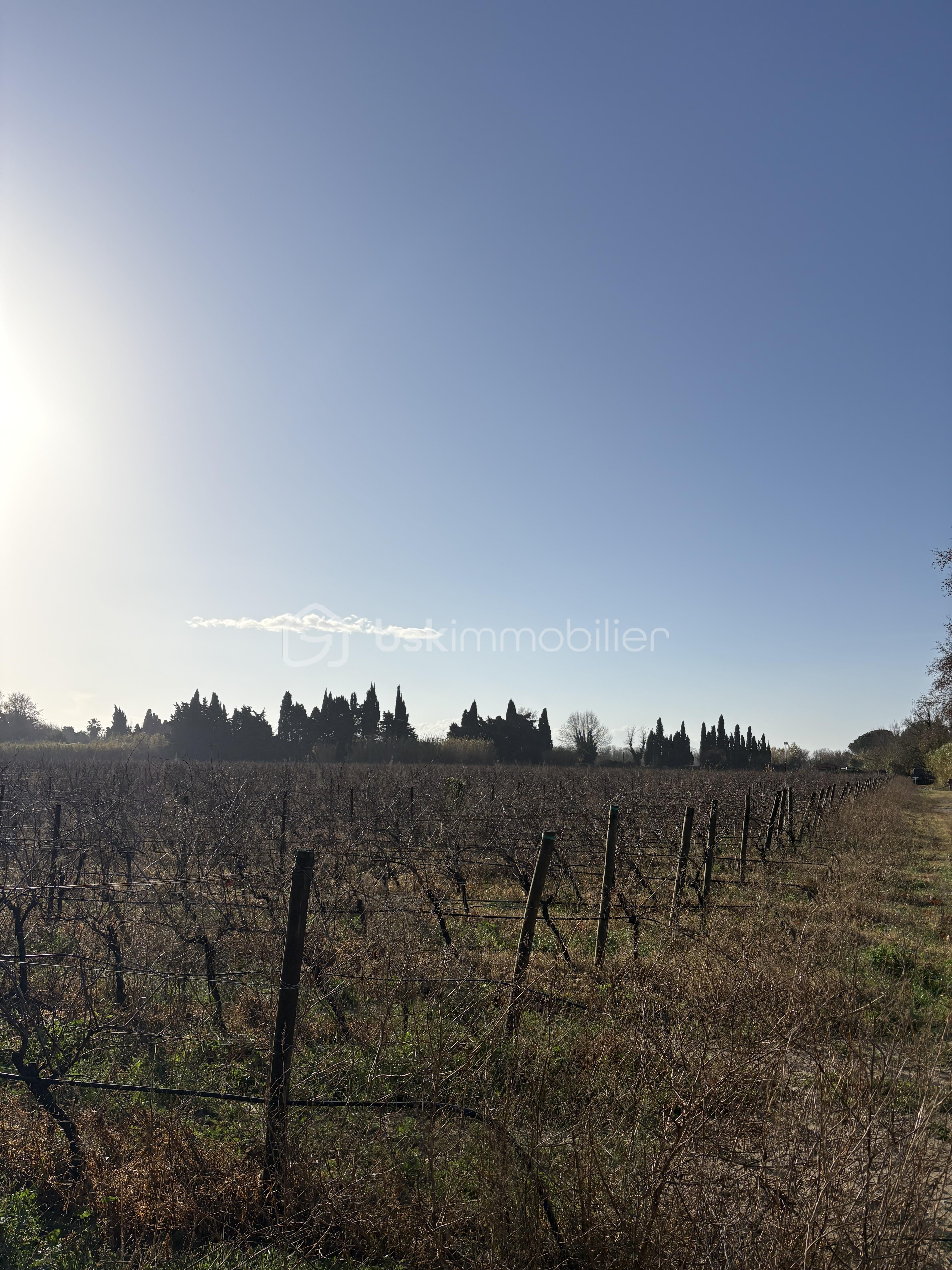 Terrain agricole de 30 676 m² - IMG_8069.jpeg