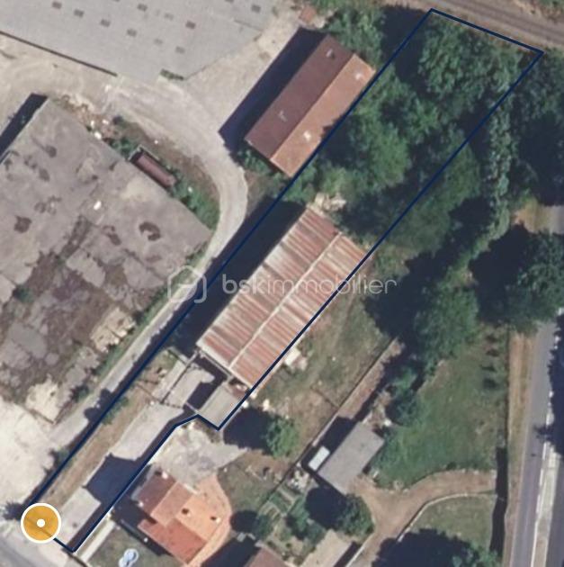 1000061836.jpg