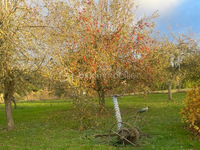 Maison traditionnelle de 184 m² - ALBERO 2.jpg