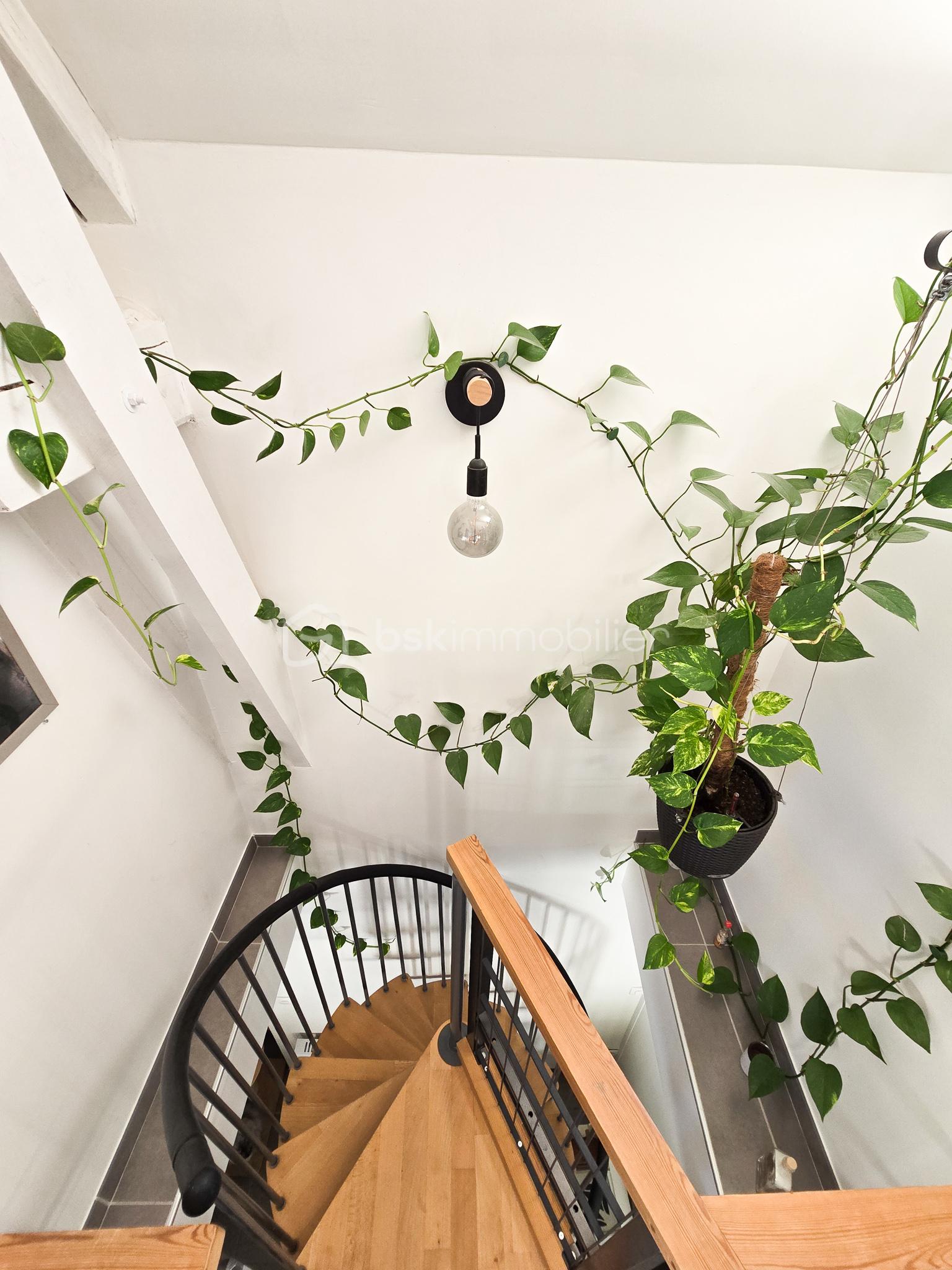 Maison de 70 m² - 20250829_113237.jpg