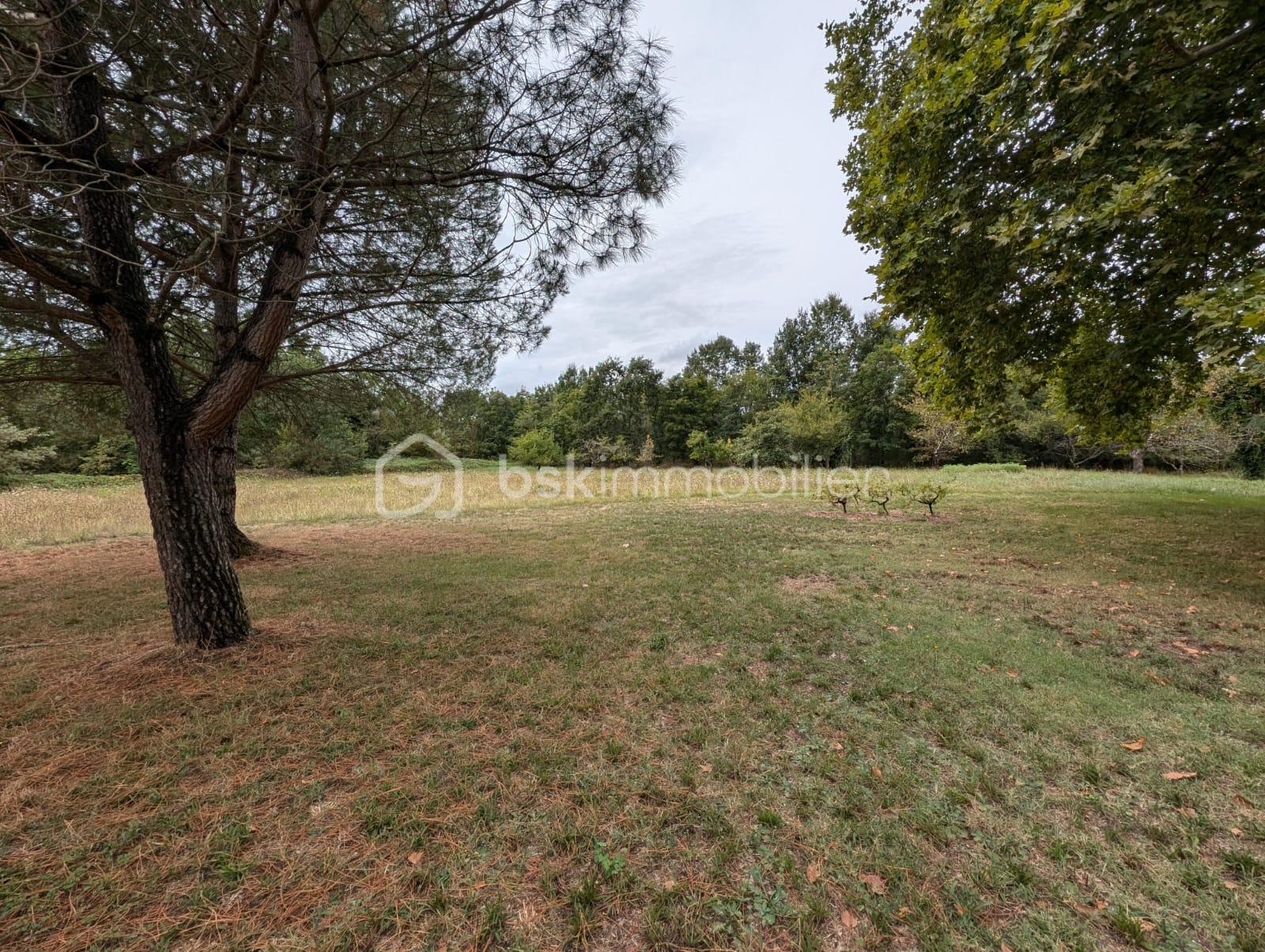 parc3 - Copie.JPG