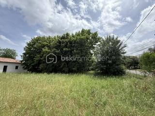 IMG_5223.jpeg