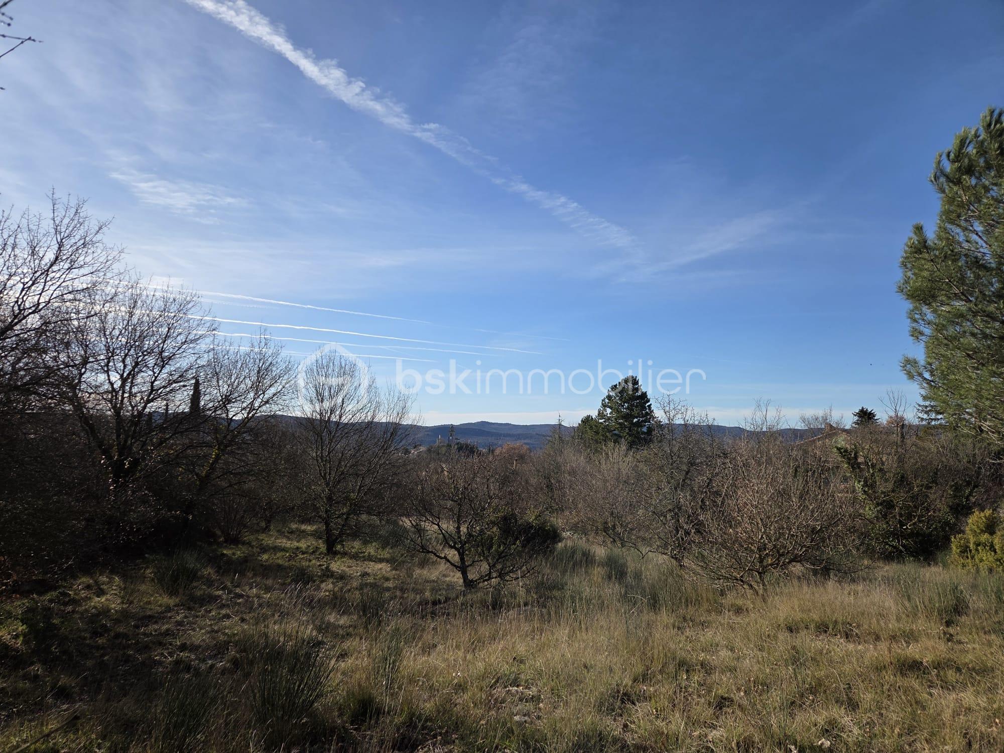 WhatsApp Image 2026-04-06 at 12.08.24 (1).jpeg