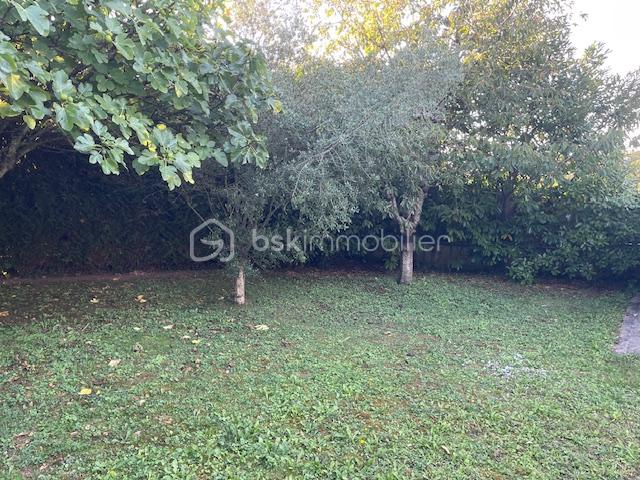 Maison de 179 m² - jardin avec 2 arbres.JPG