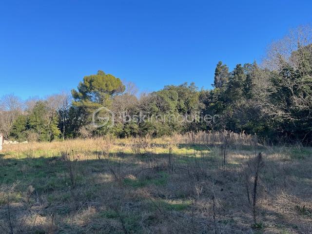 Terrain de 1 137 m² - p.jpg