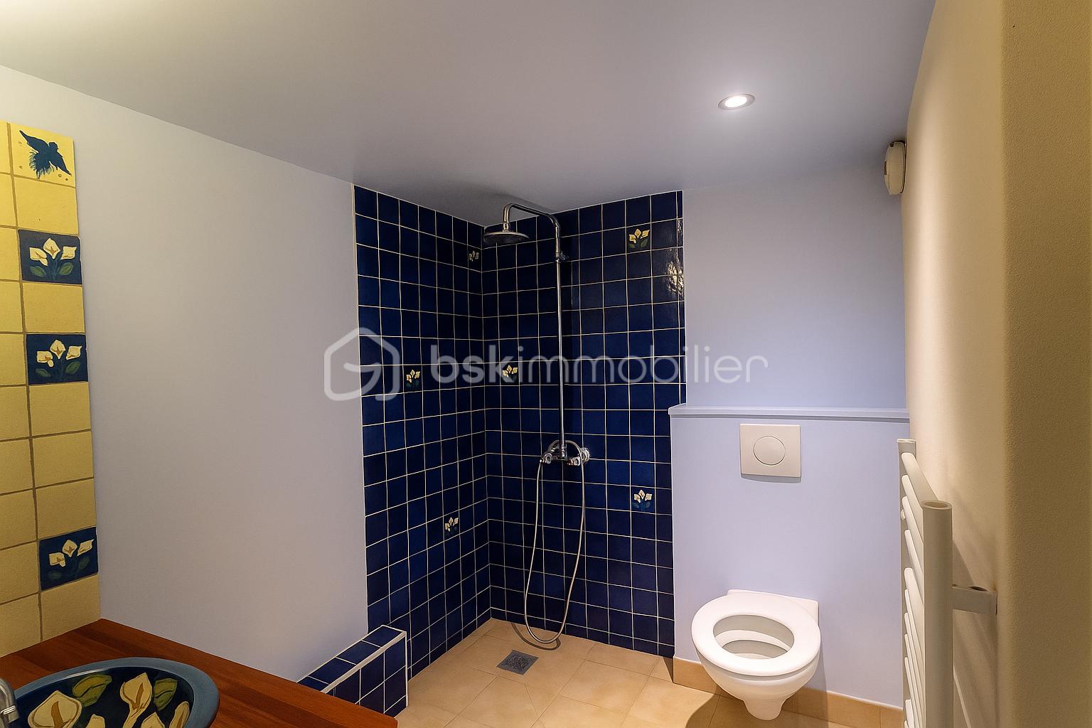 Maison en pierre de 225 m² - cSDE WC.png