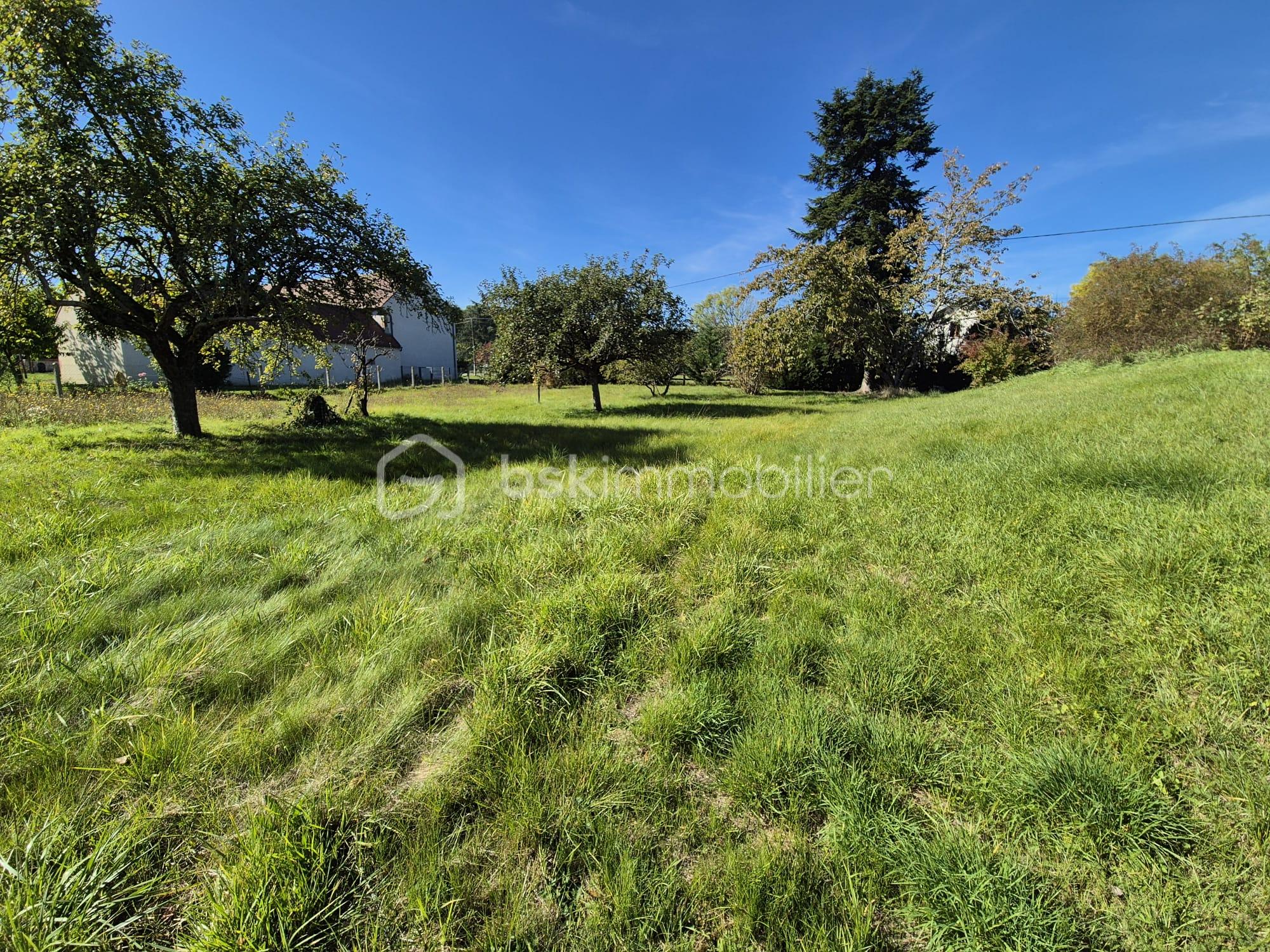 Maison traditionnelle de 90 m² - WhatsApp Image 2025-10-08 à 17.21.12_e5373c9d.jpg