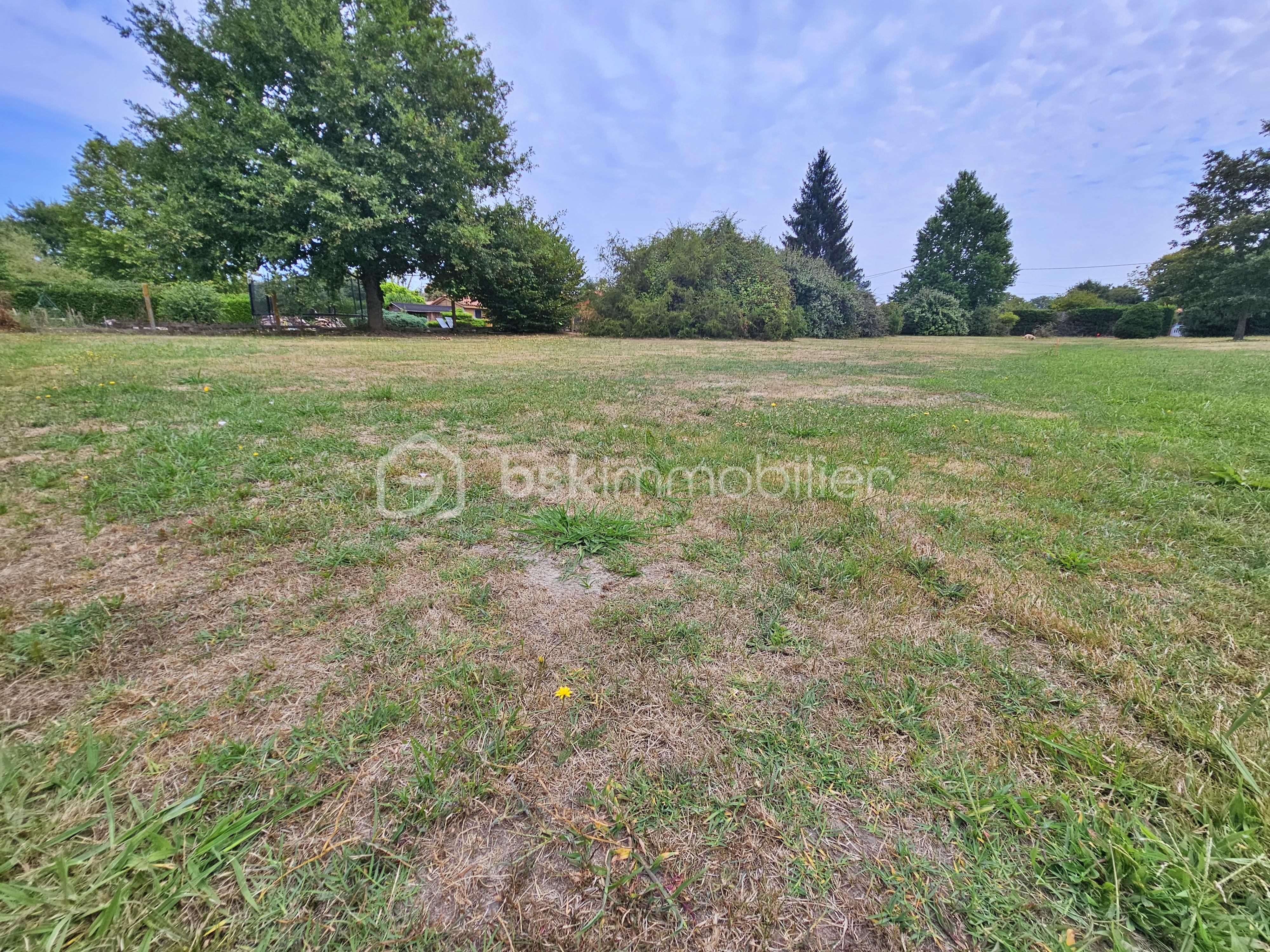 Terrain de 1 428 m² - A 583 (2).jpg