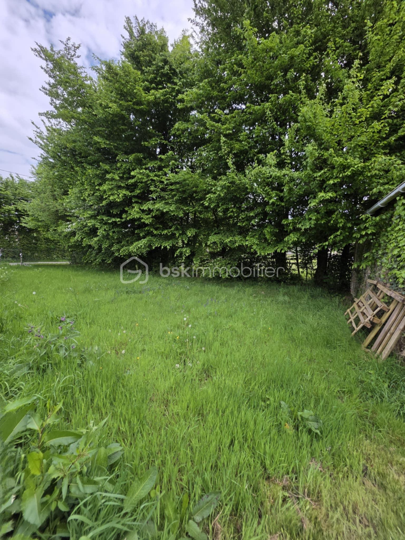 Terrain de 498 m² - 448ddbe8-a1ef-499d-b405-e9d785c5d7ee.jpg