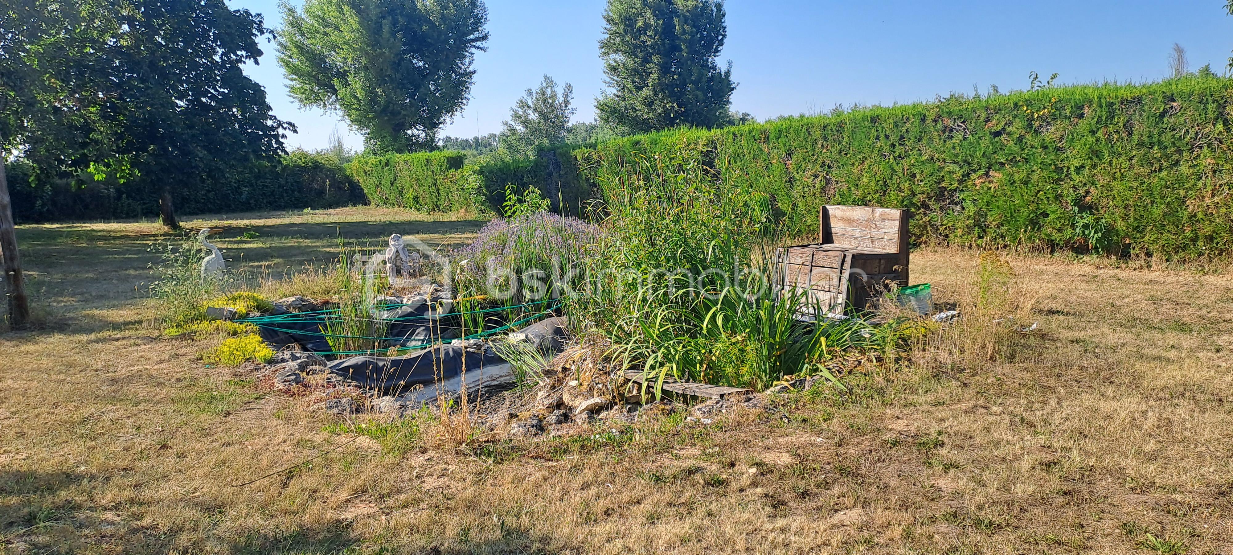 Maison ancienne de 82 m² - 20250619_181430.jpg