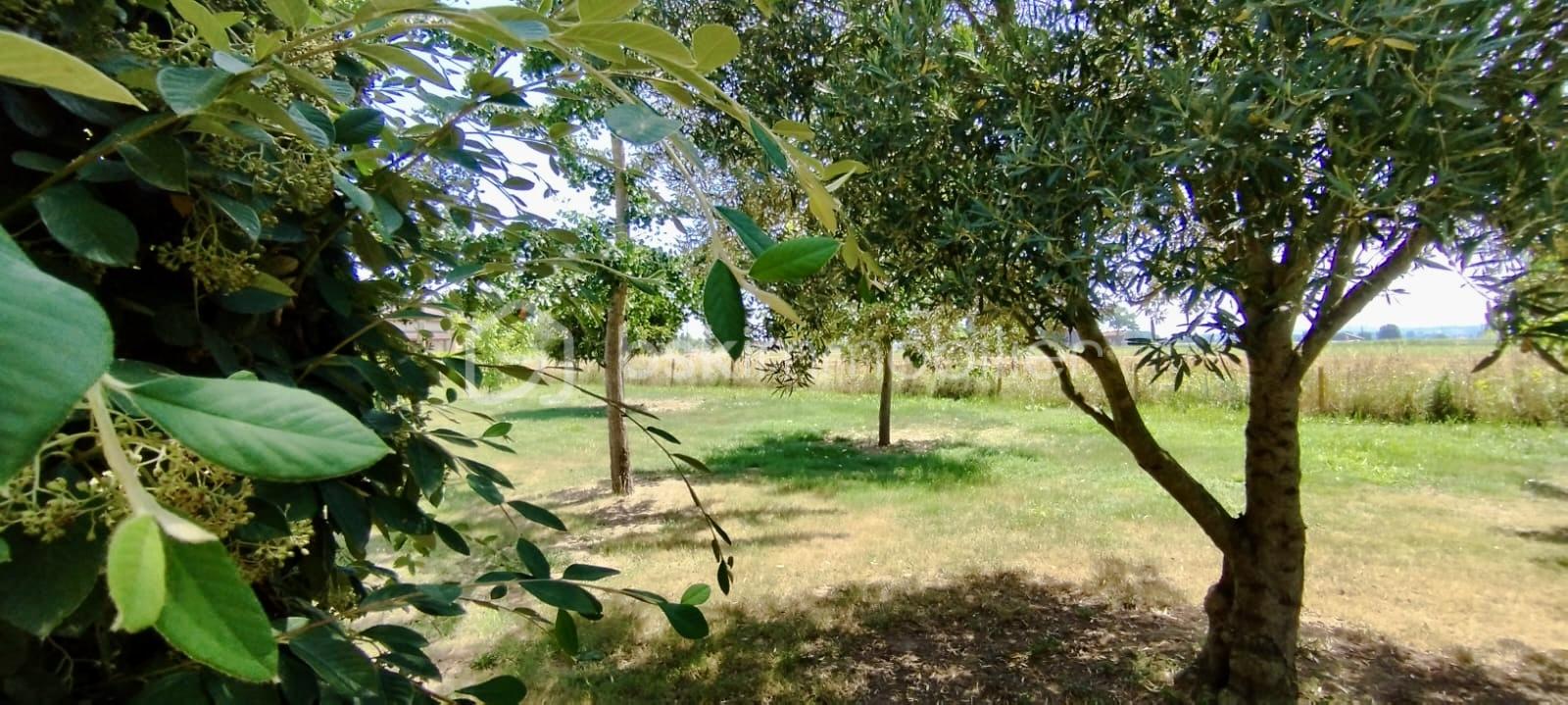 Maison traditionnelle de 115 m² - 1062ed2b-5e36-4932-8d9f-35e268e8d3dd.jpeg