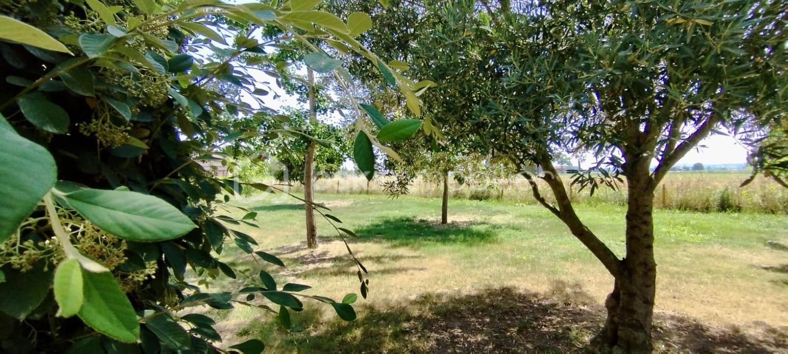 Maison traditionnelle de 115 m² - 1062ed2b-5e36-4932-8d9f-35e268e8d3dd.jpeg