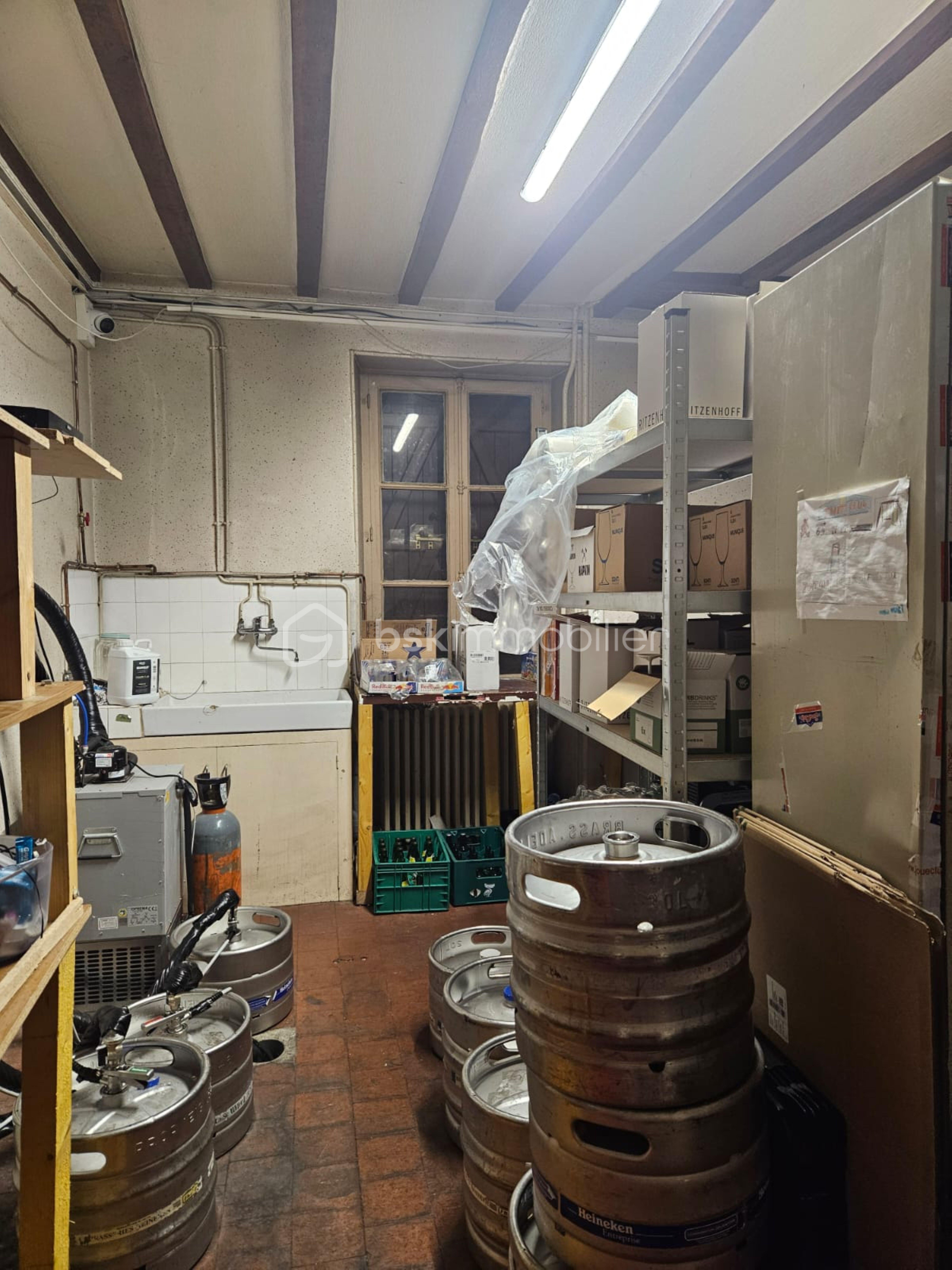 WhatsApp Image 2026-02-03 at 00.58.52.jpg