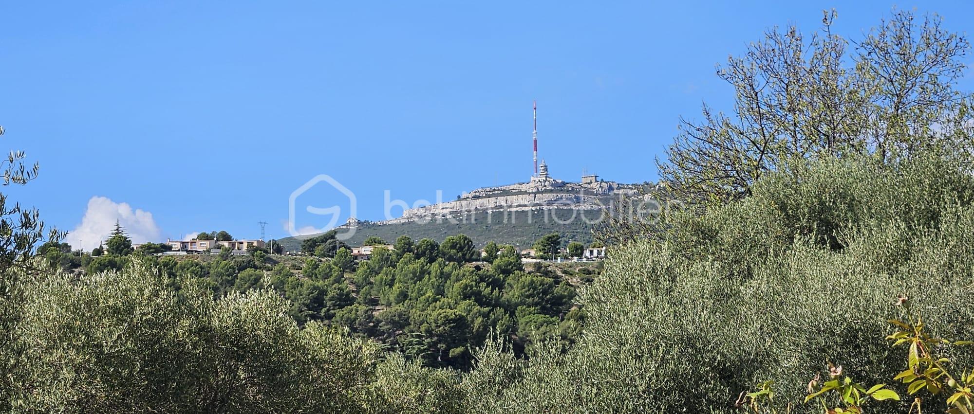 Demeure de 242 m² - massif etoile.jpg