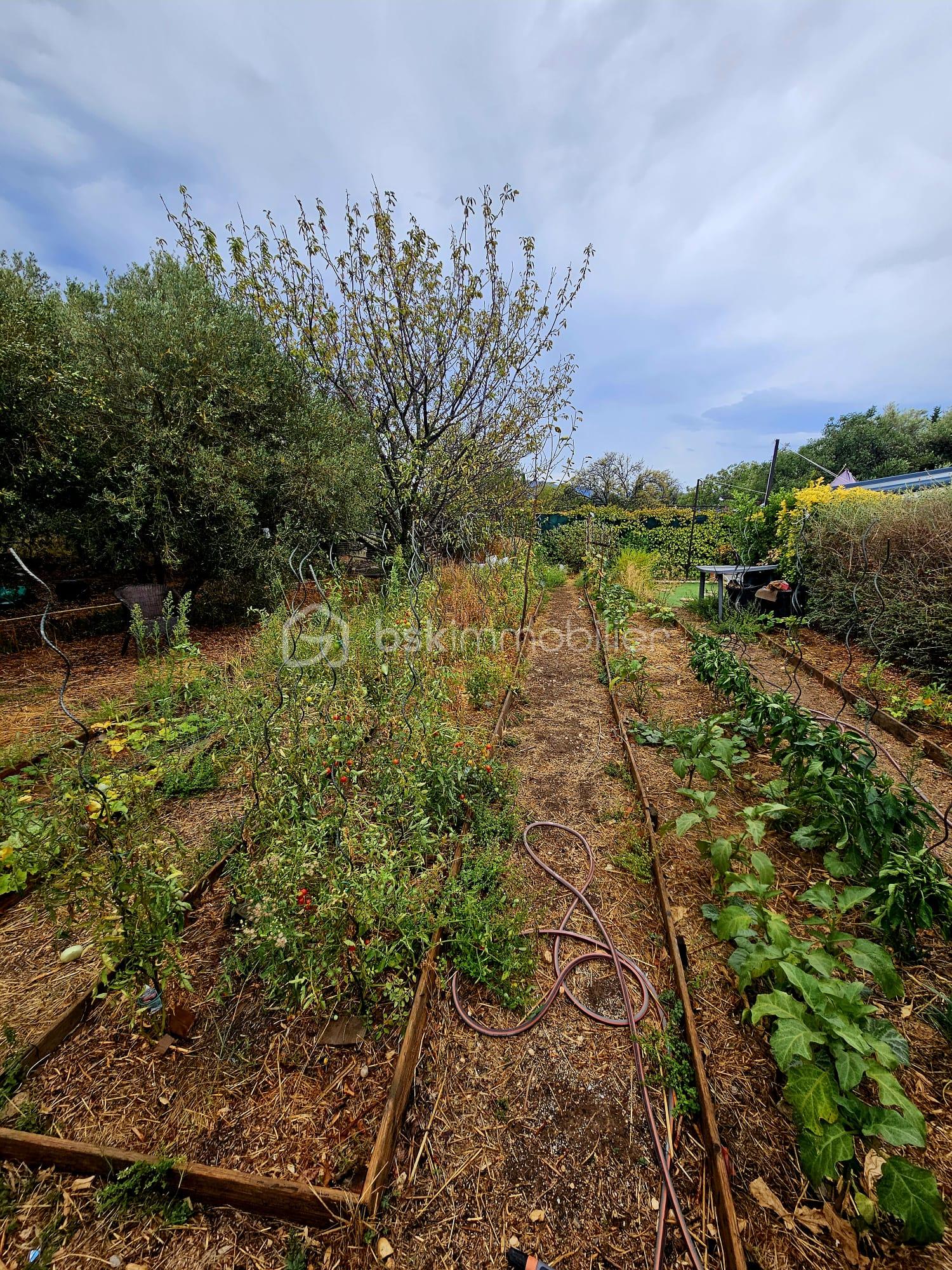 Demeure de 242 m² - WhatsApp Image 2025-10-12 à 16.49.32_651cb57c.jpg