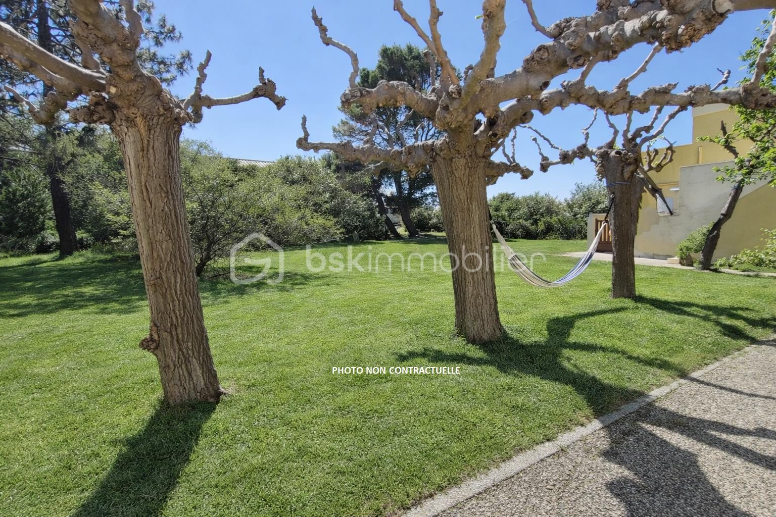Jardin ensoleillé avec hamac suspendu.png