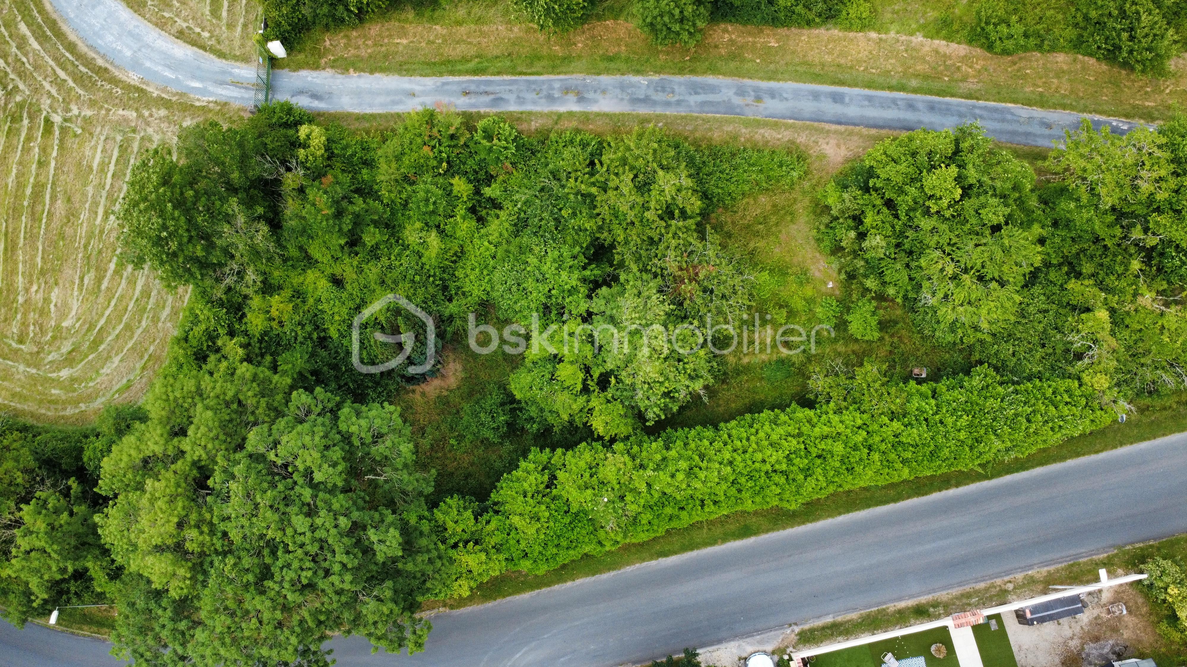 dji_fly_20260602_170620_647_1780509422422_photo_optimized.jpg