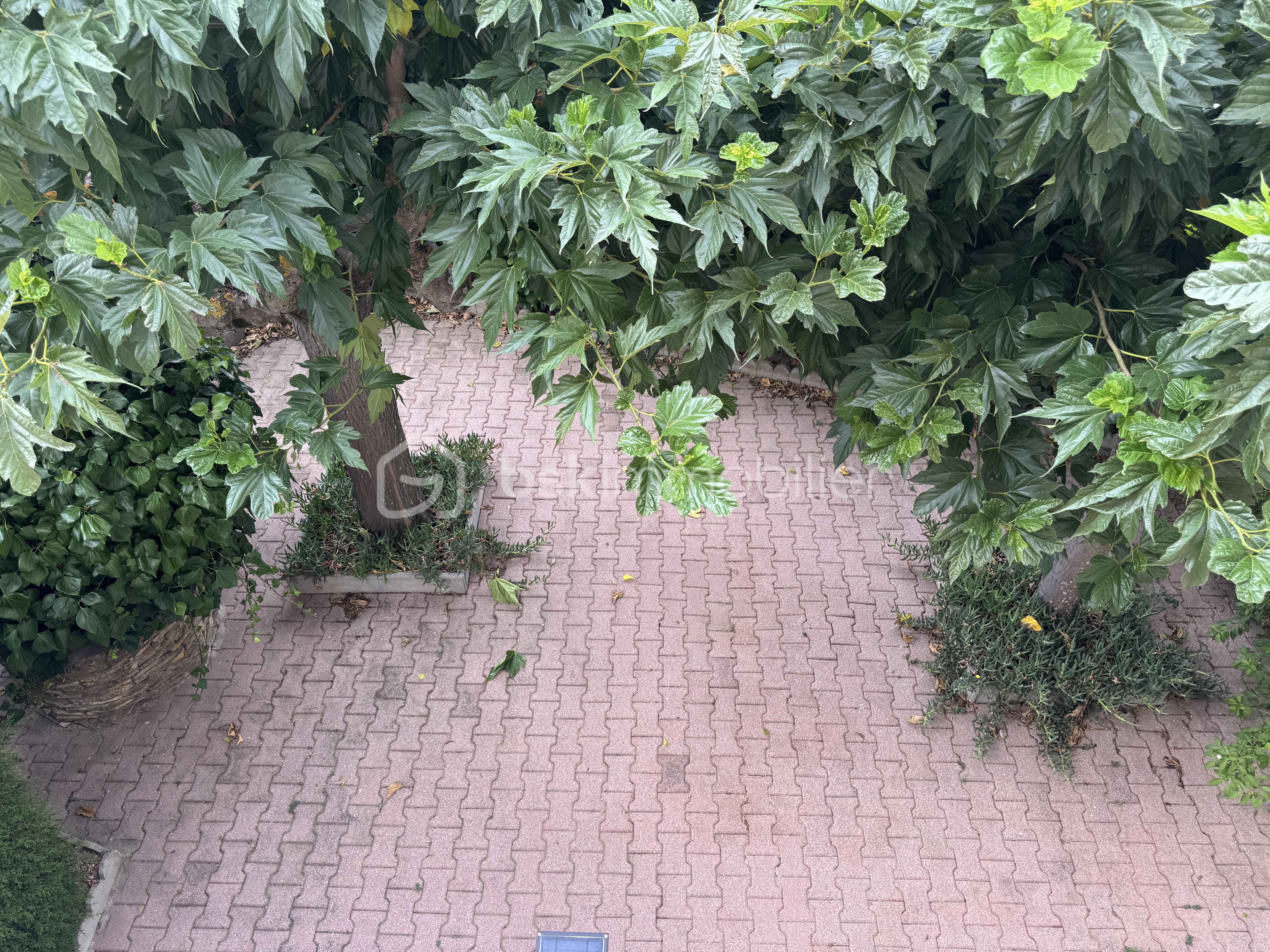 IMG_1069.jpeg