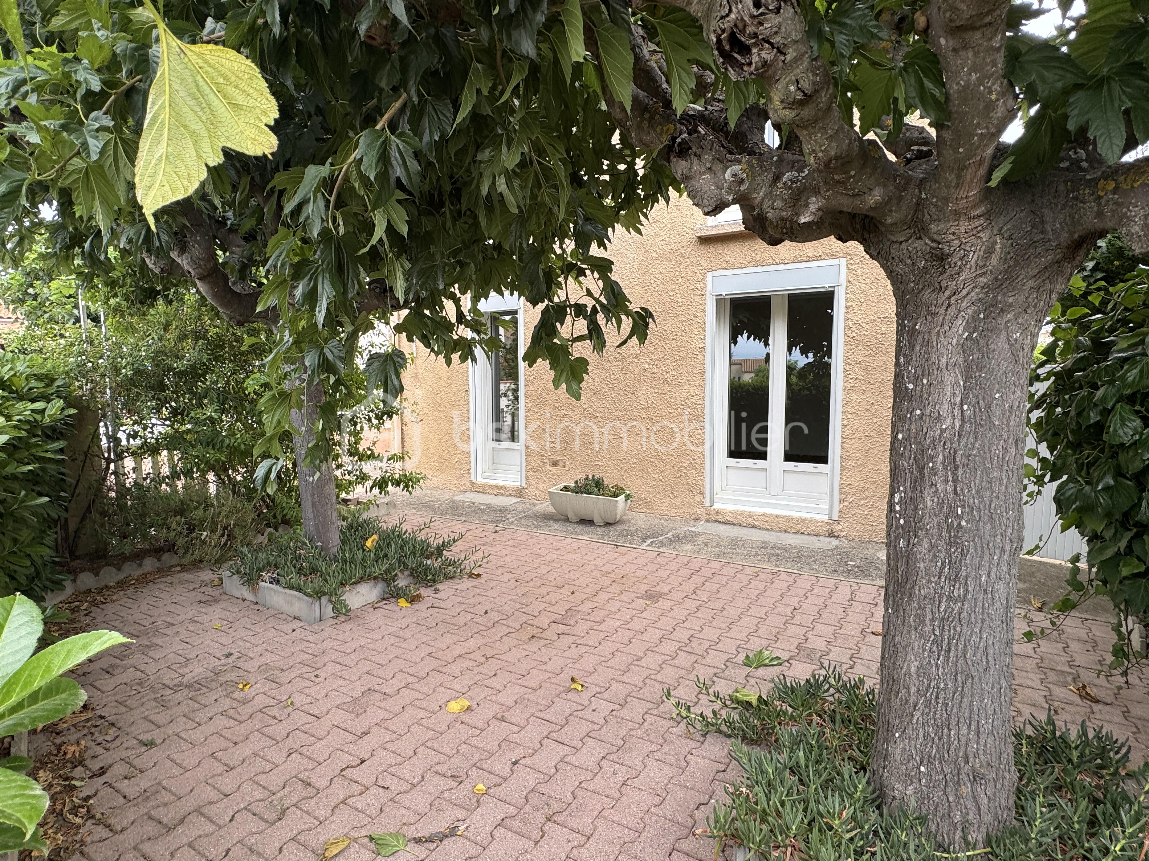 IMG_1089.jpeg