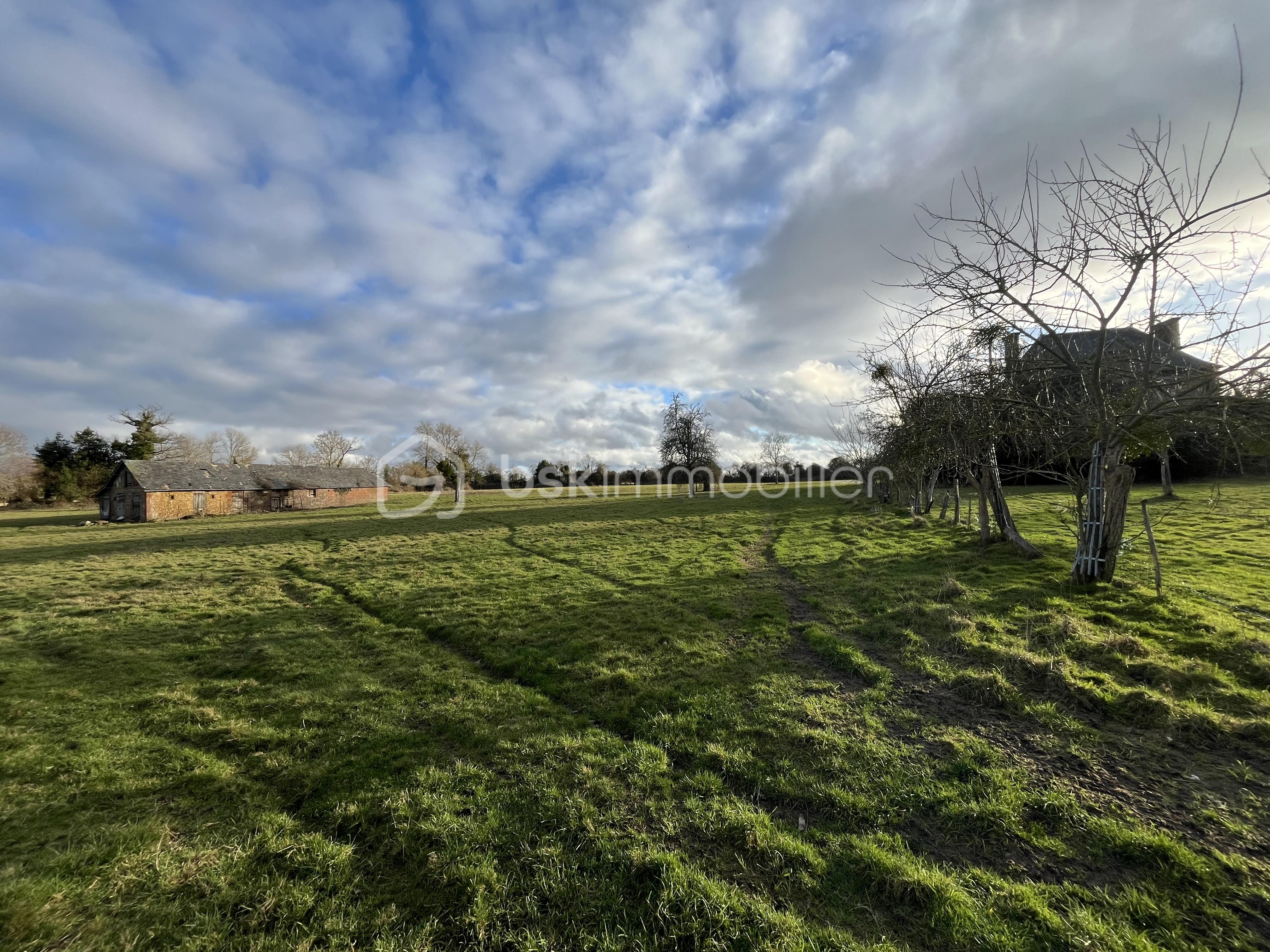 Domaine de 280 m² - IMG_2281.jpg