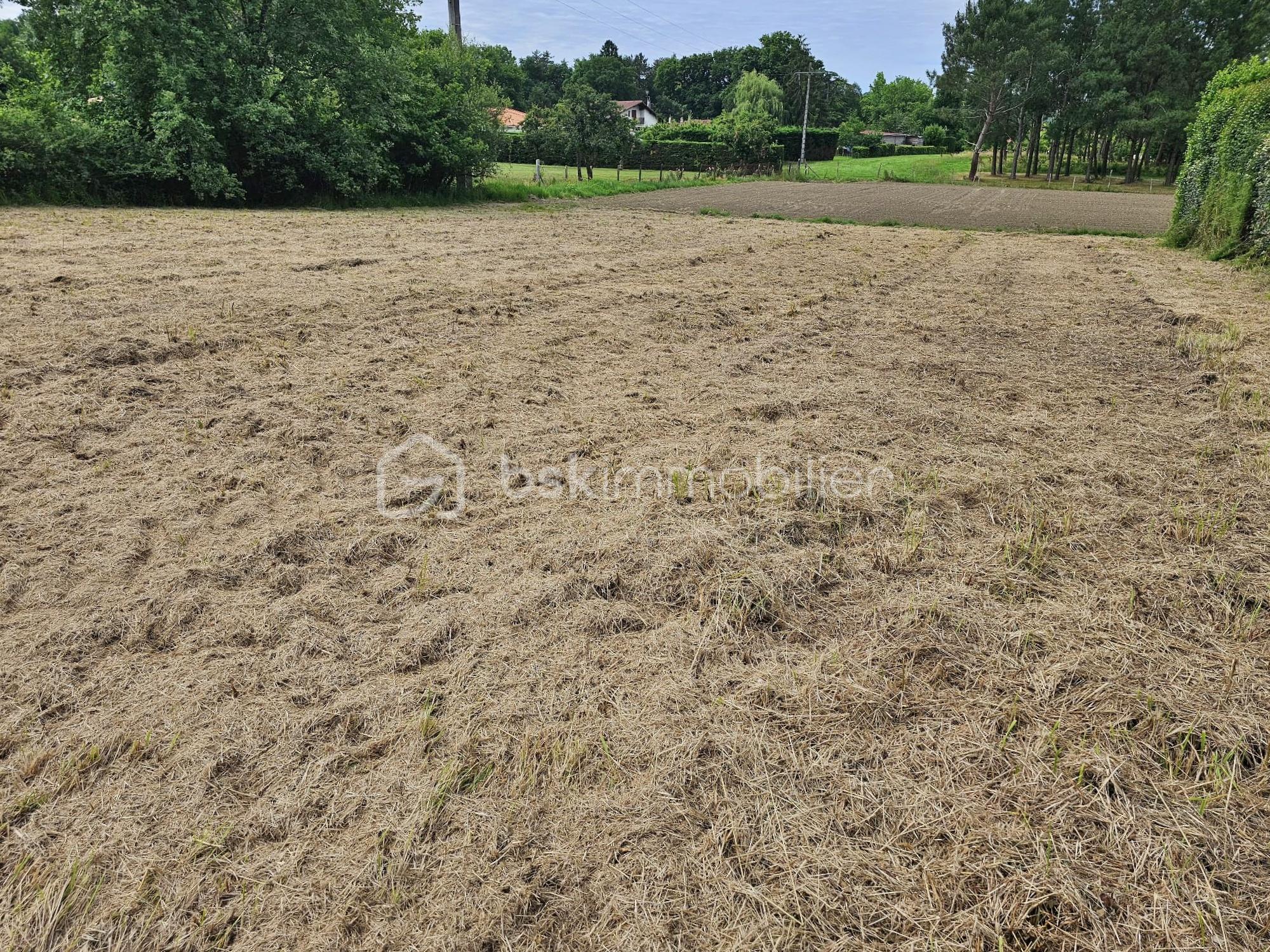 Terrain de 1 137 m² - BX 241 (1).jpg