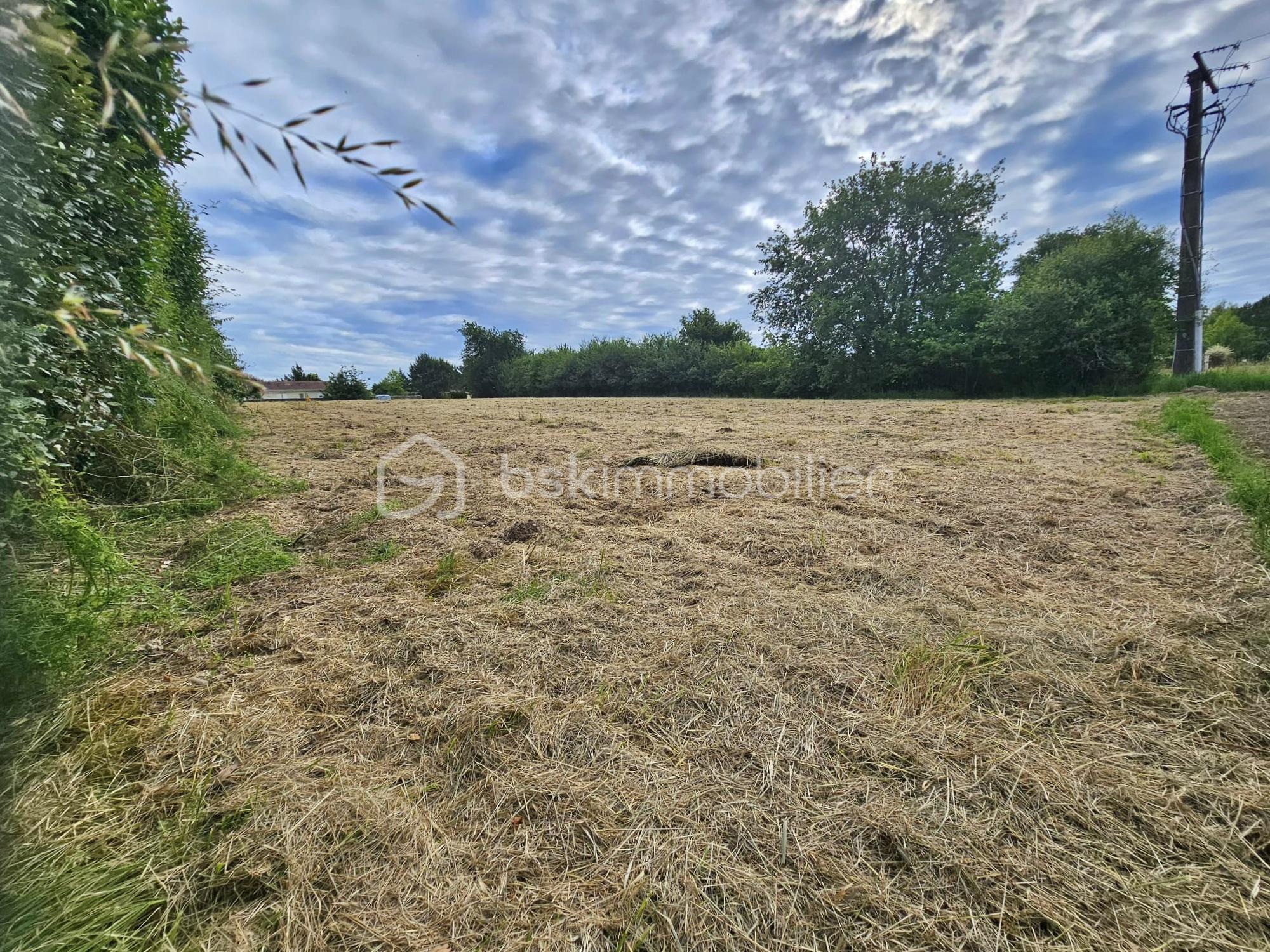 Terrain de 1 137 m² - BX 241.jpg