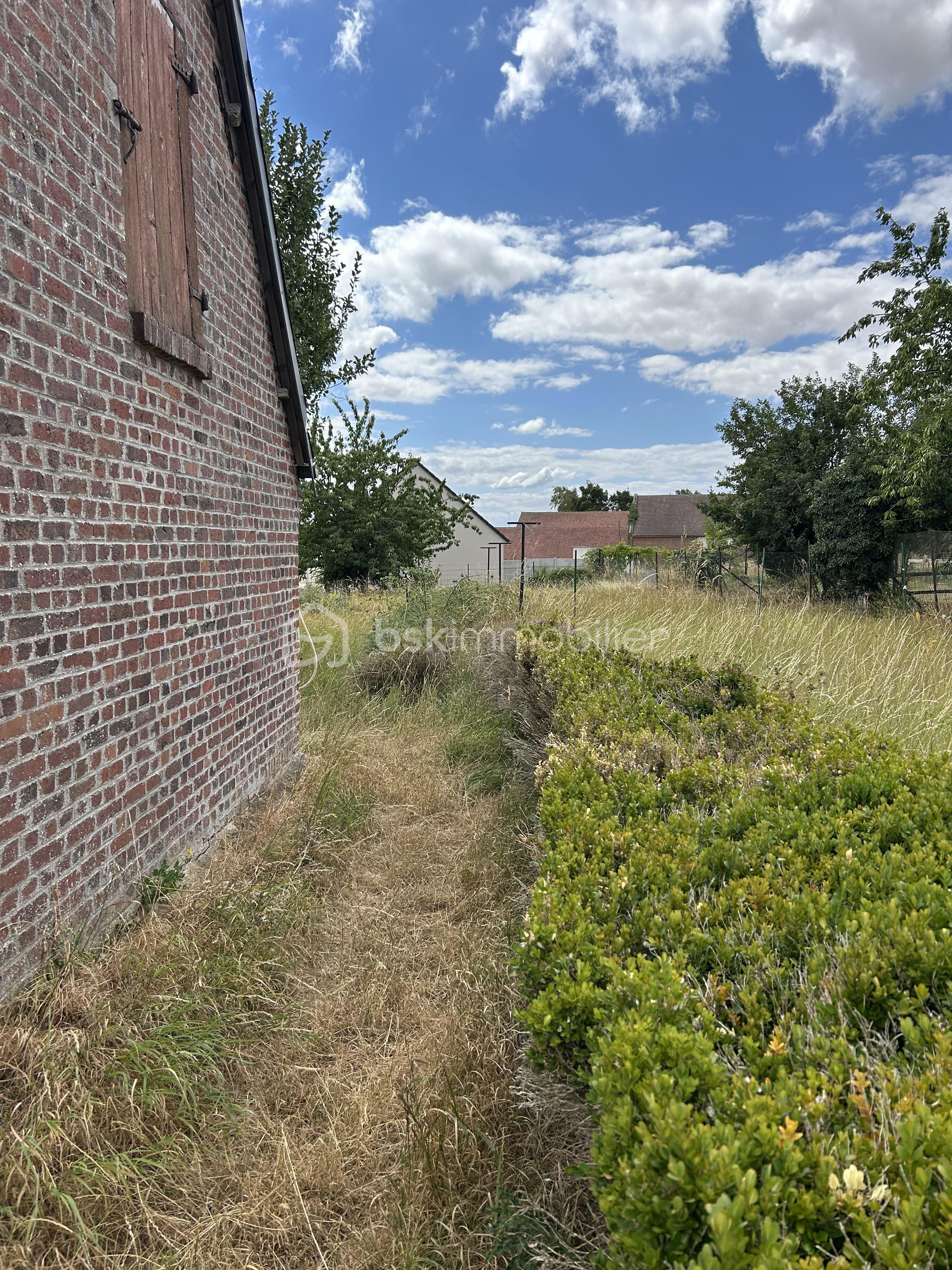 IMG_6509.jpeg