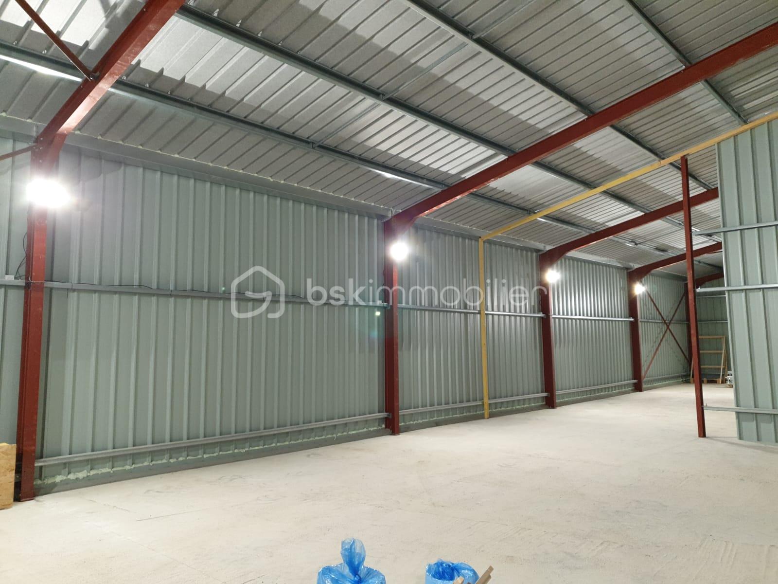 1000016493.jpg