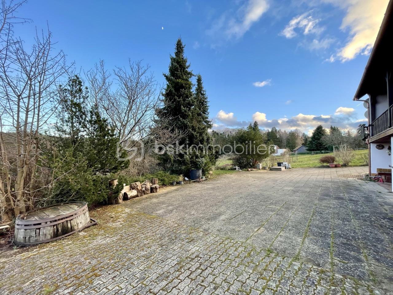 IMG_9193 - Grande.jpeg