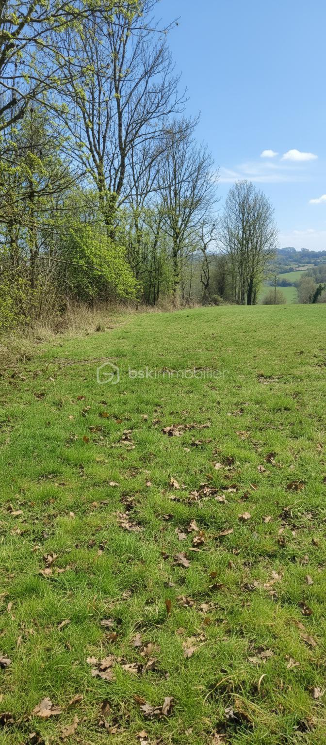 Terrain agricole de 17 820 m² - generated_2026-01-30T09_10_27.636.jpg