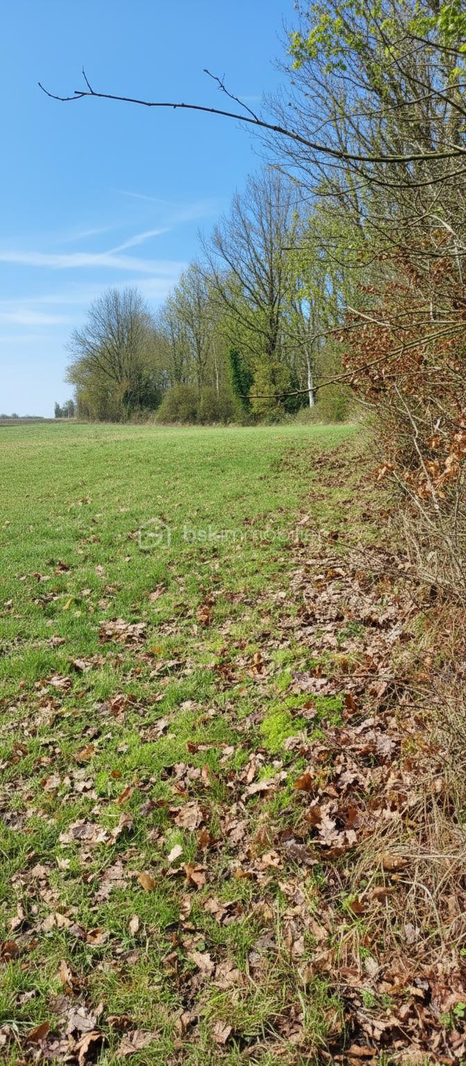 Terrain agricole de 17 820 m² - generated_2026-01-30T09_11_09.831.jpg