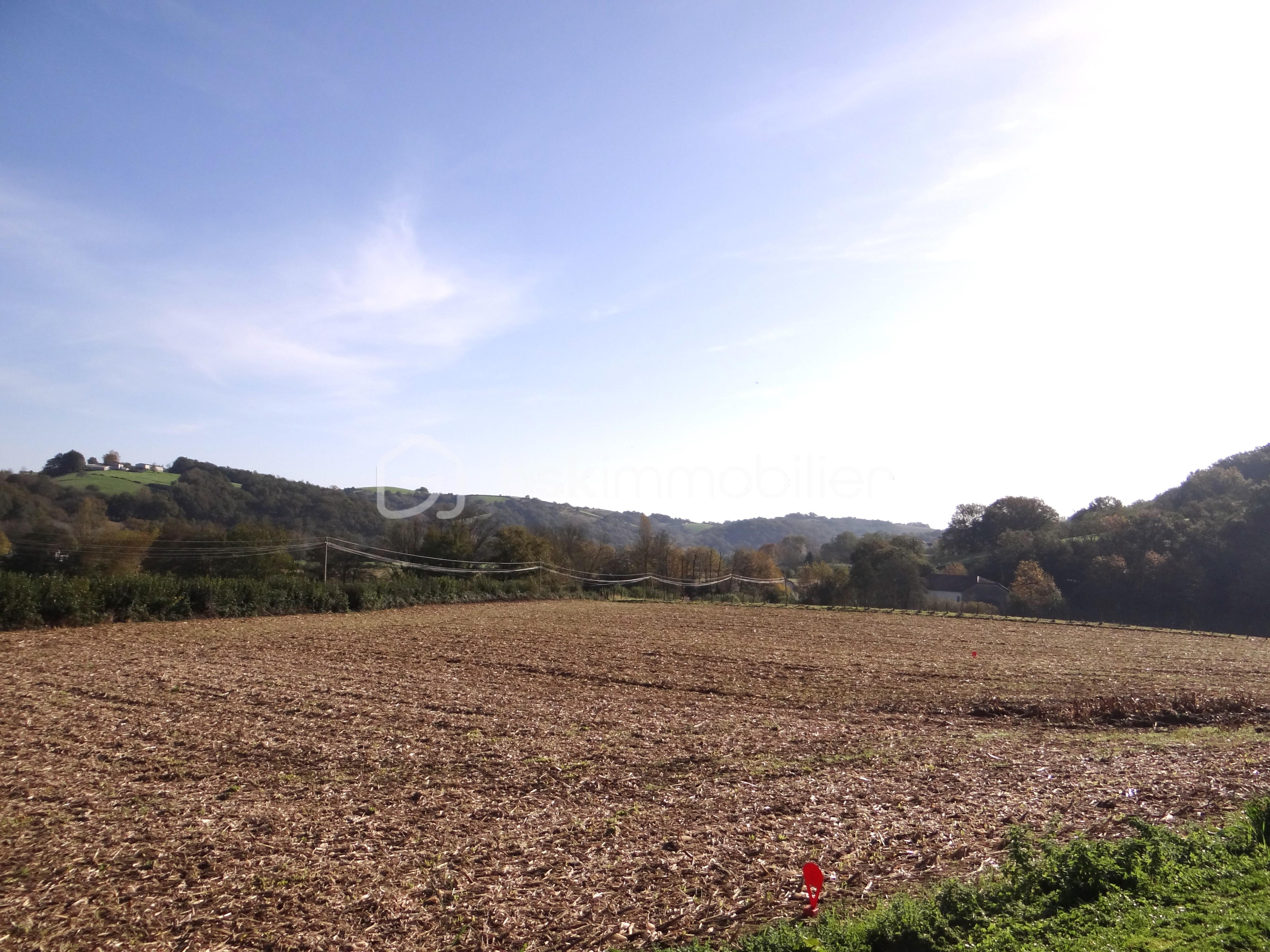 Terrain de 1 954 m² - DSC09054.JPG