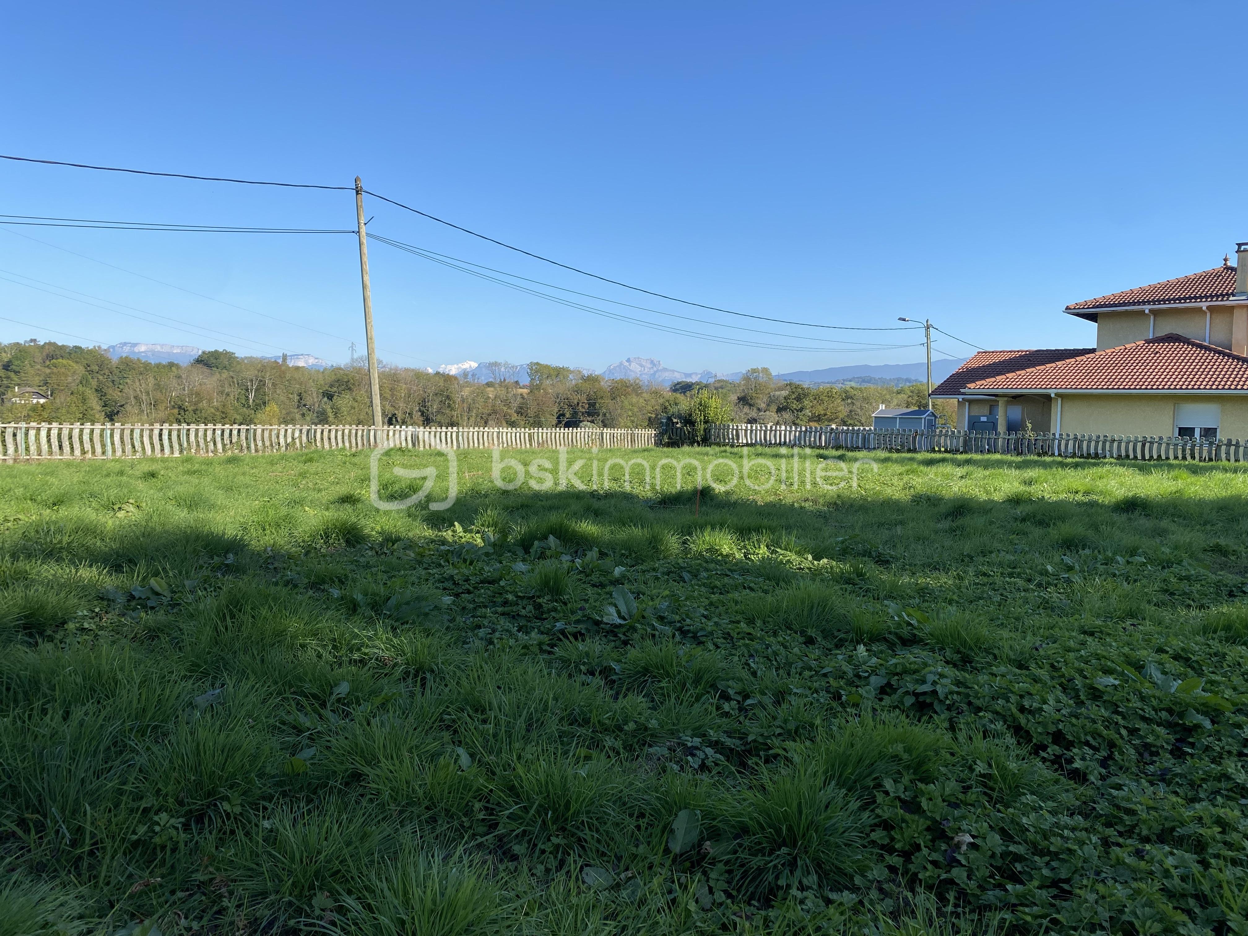 Lotissement de 617 m² - IMG_4806.jpg