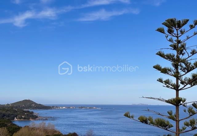 dea60c41-d334-4913-92ae-92305114dc1a.jfif