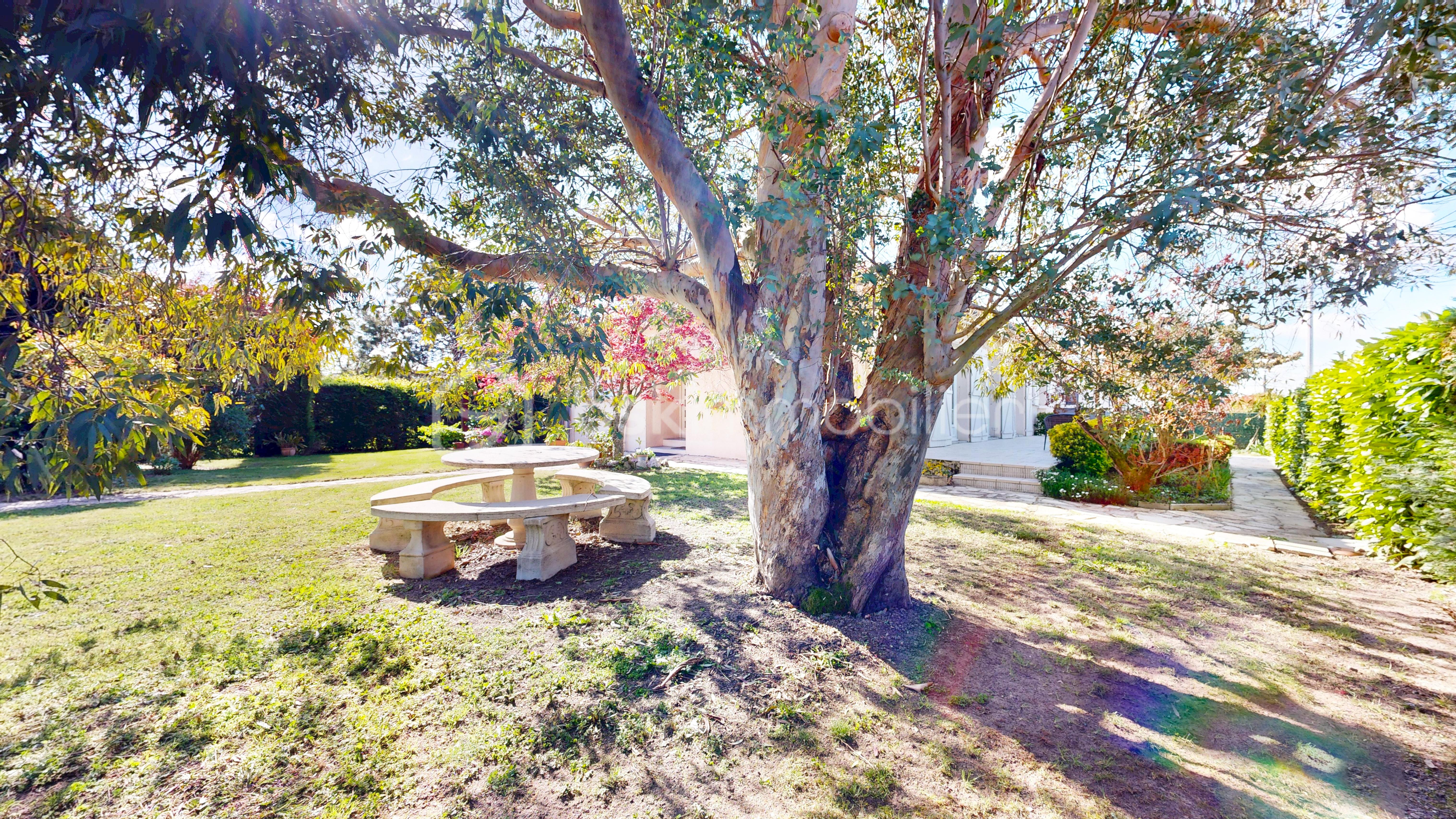 01 - Extérieur (38).jpg