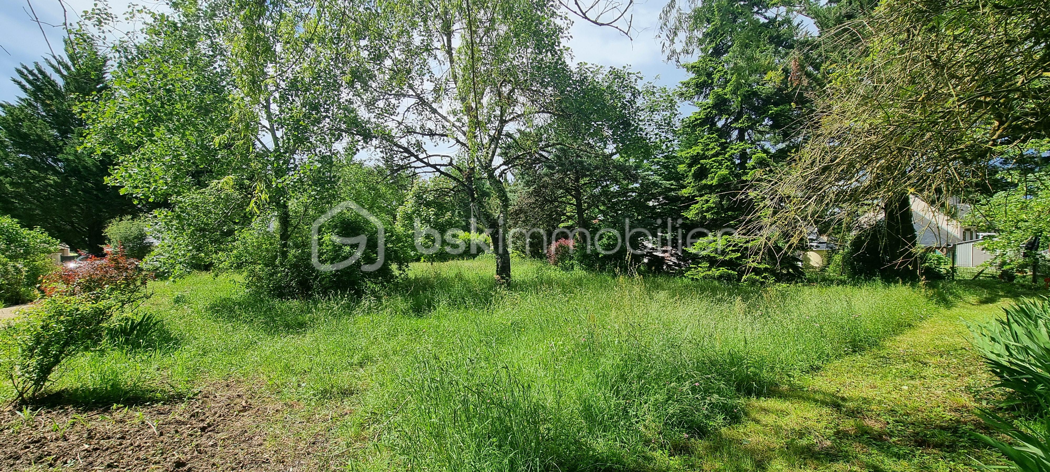 Lotissement de 965 m² - 20240516_154007.jpg