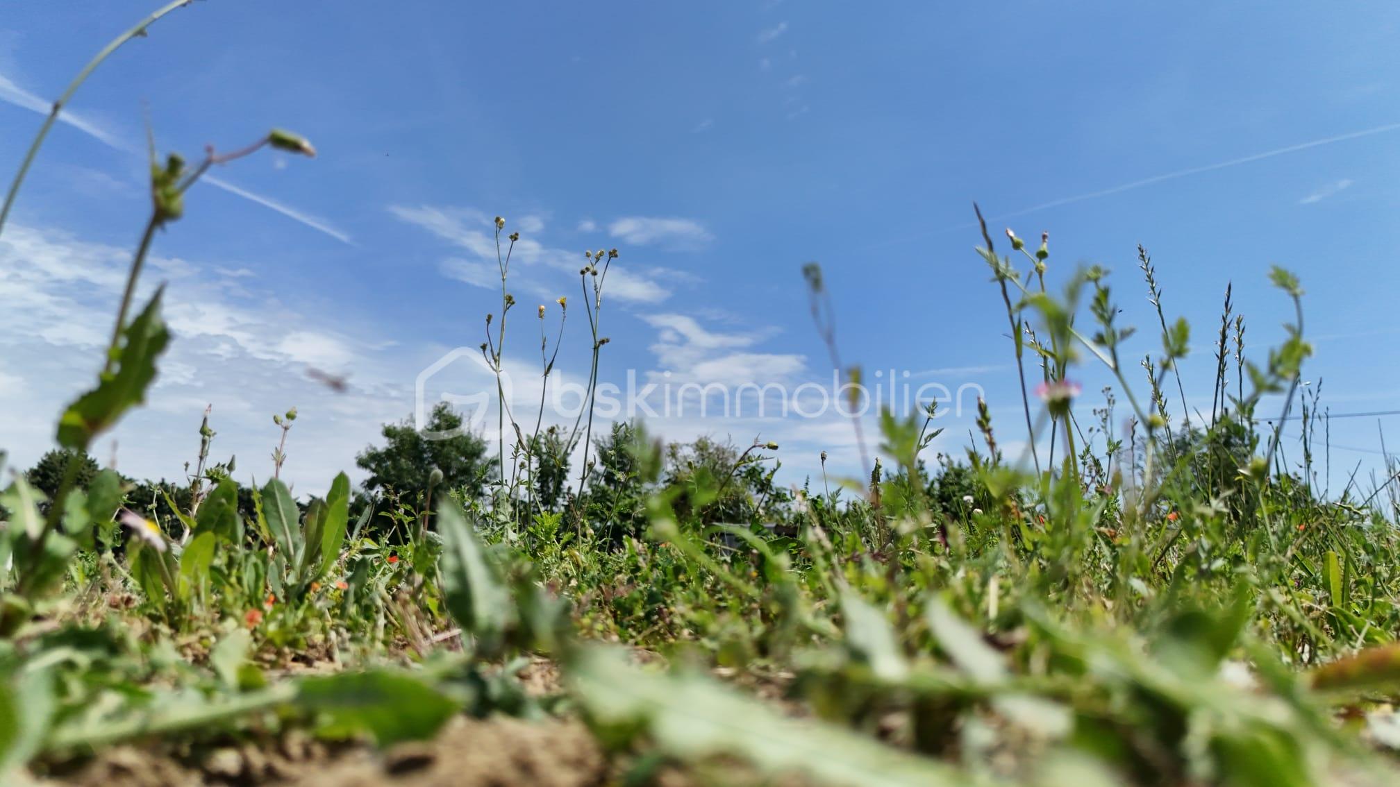 Terrain de 701 m² - Stéphanie Crozier terrains à vendre (4).jpg