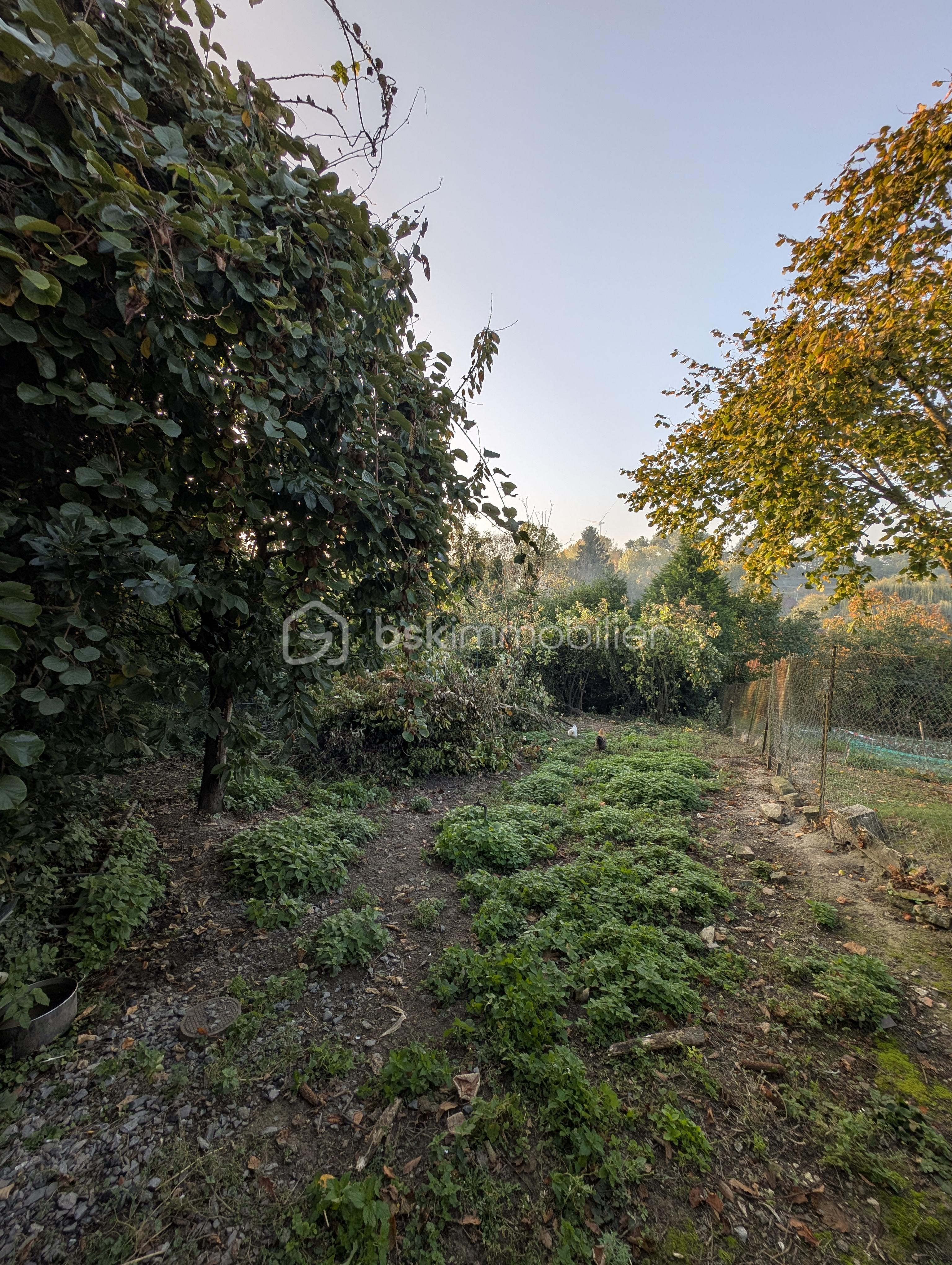 Terrain de 403 m² - PXL_20251014_065646306.jpg
