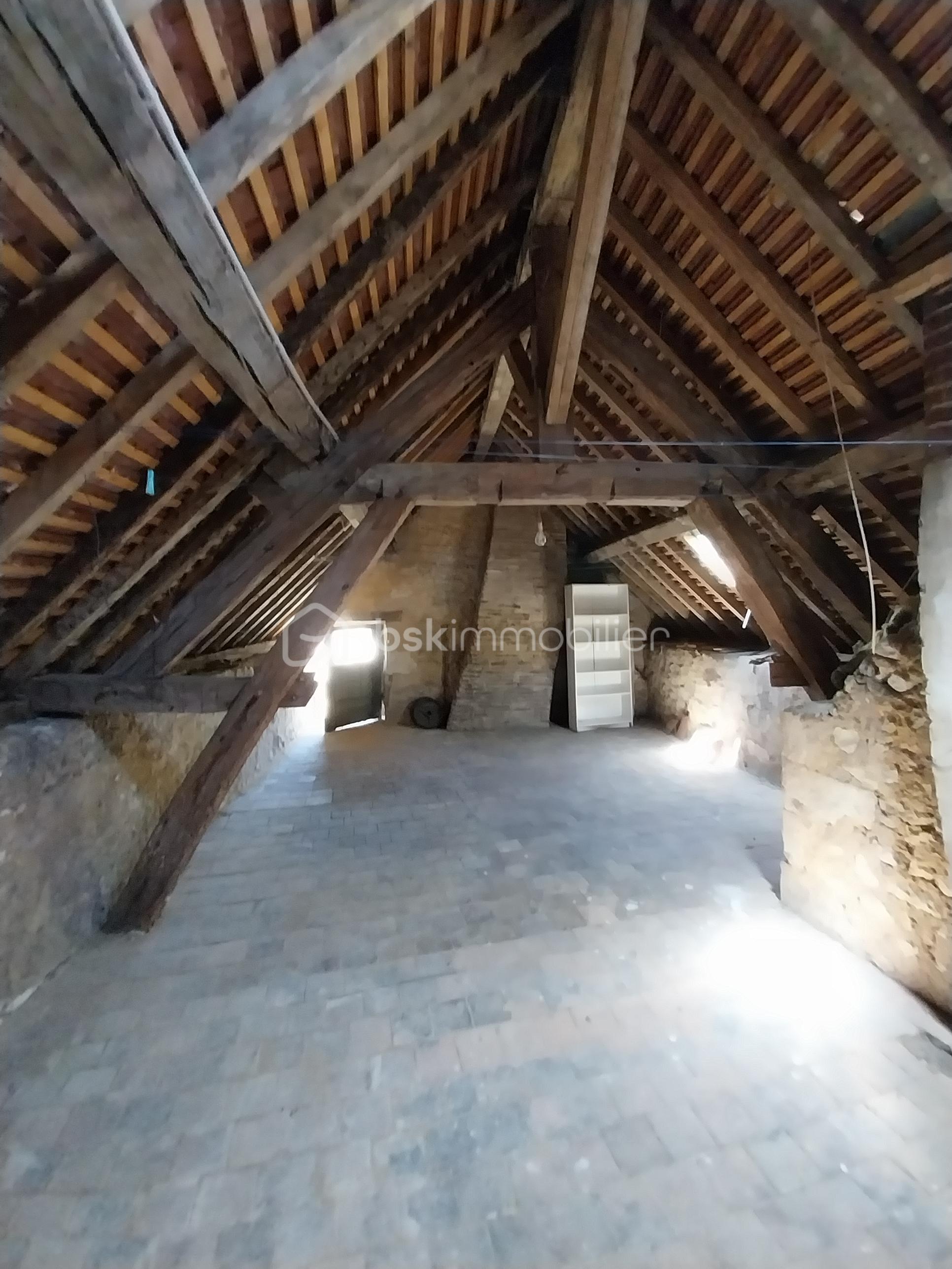 Maison de maitre de 233 m² - 20250711_140900.jpg