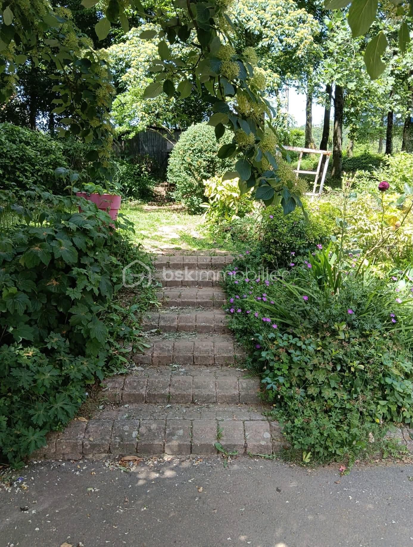 1000020545.jpg