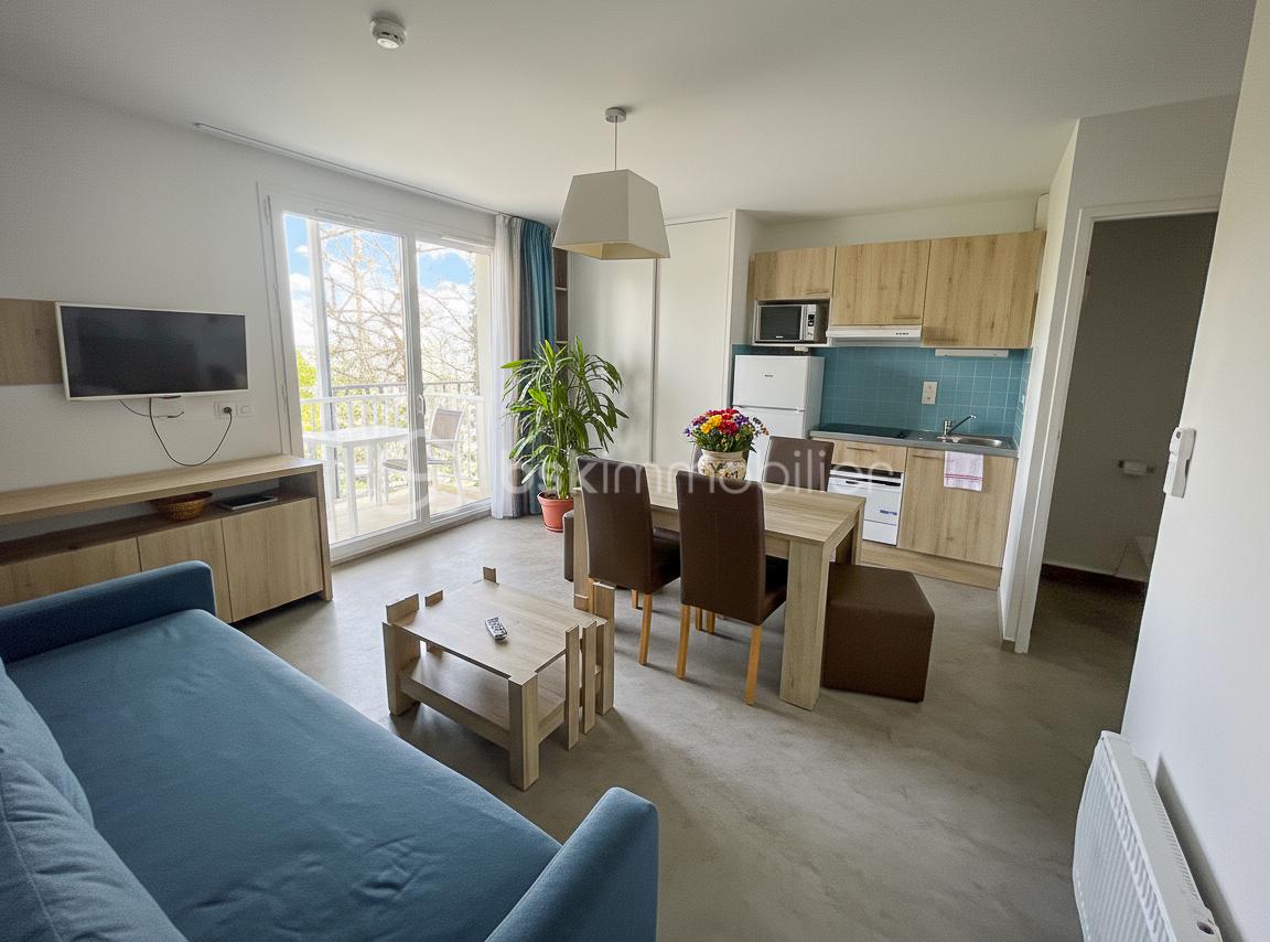 Appartement de 38,17 m² - SALON CUISINE BALCON 1A.jpg
