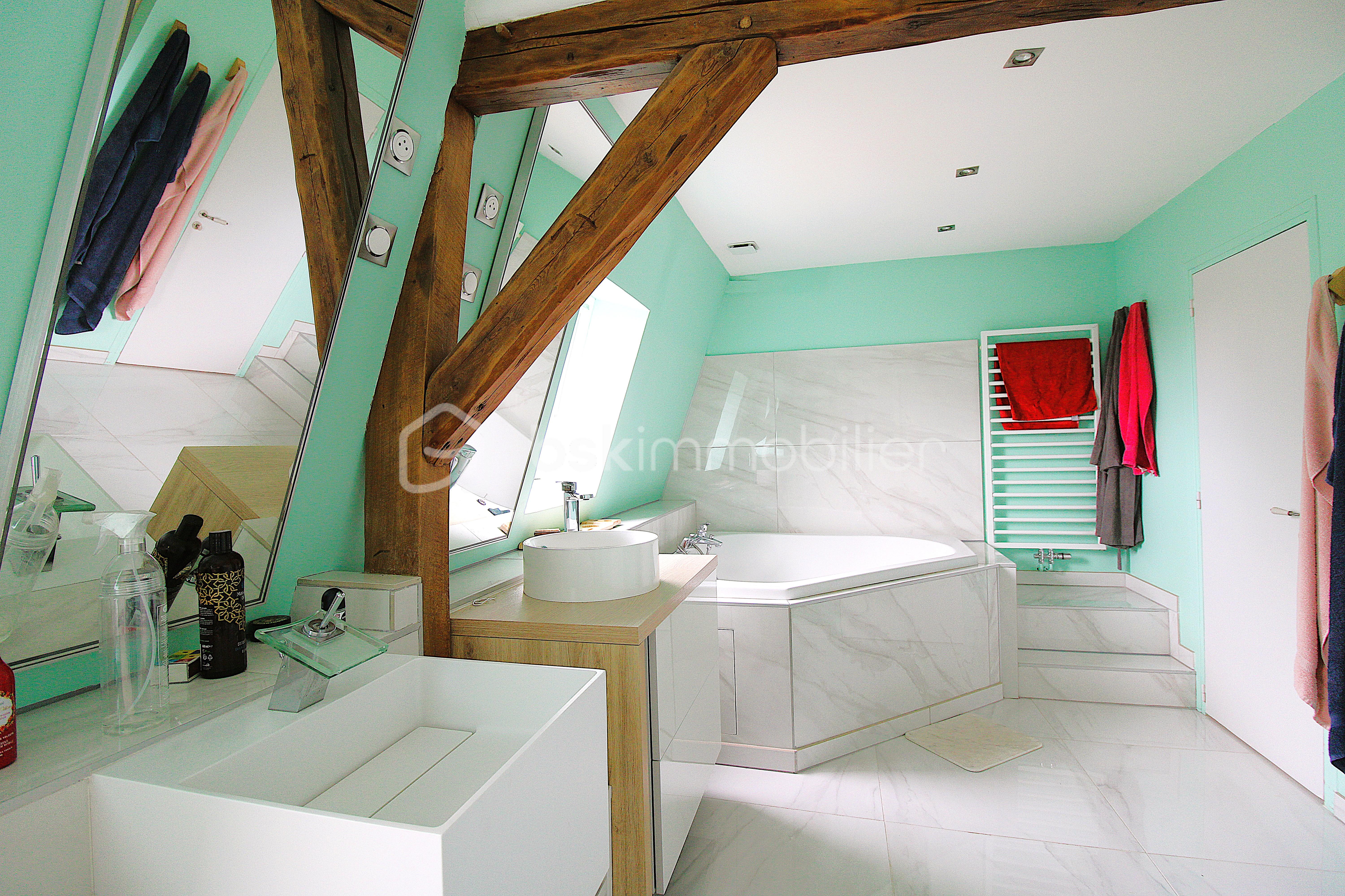 SALLE DE BAINS 2 modifiée.JPG