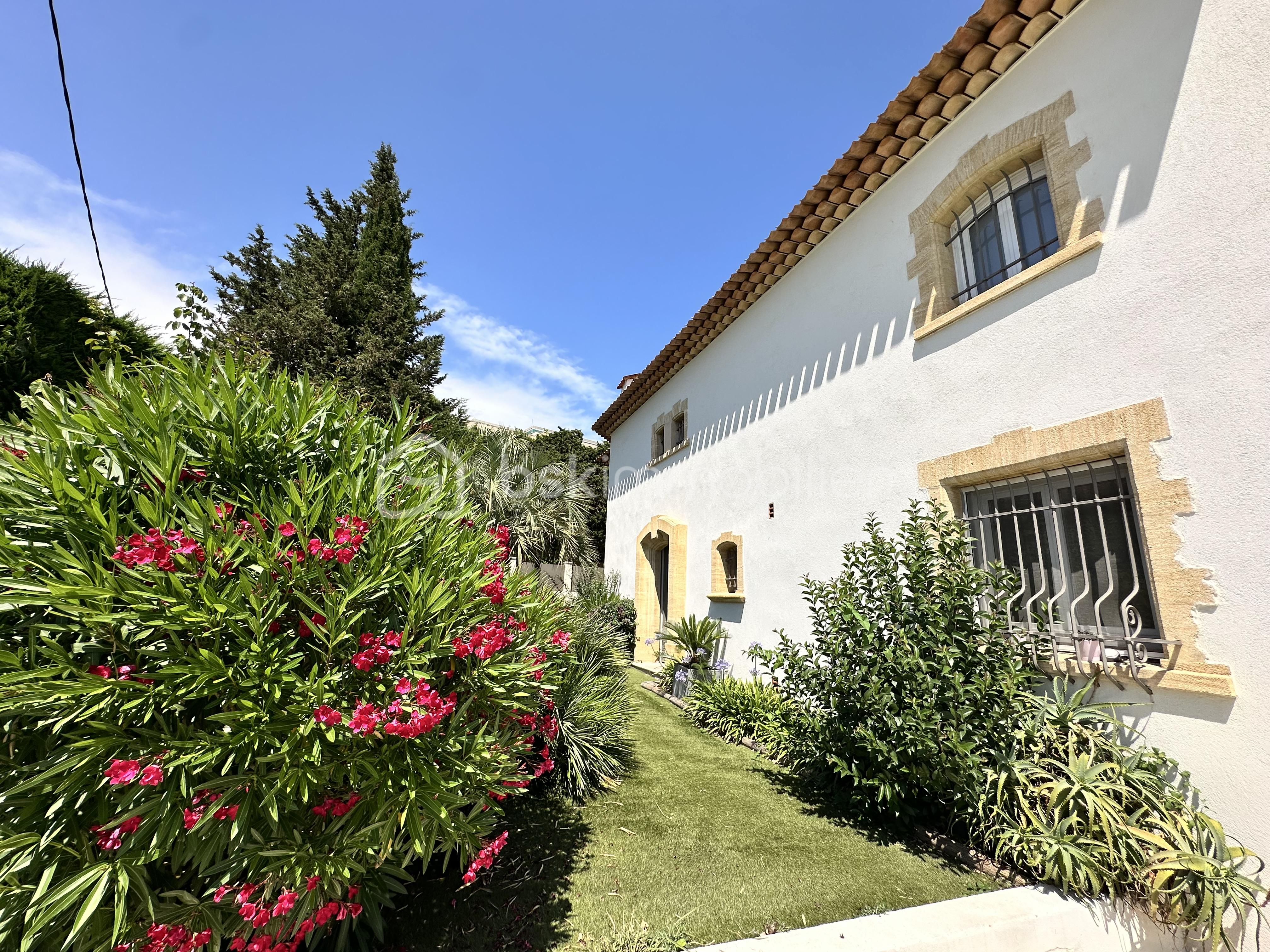 jardin.jpeg