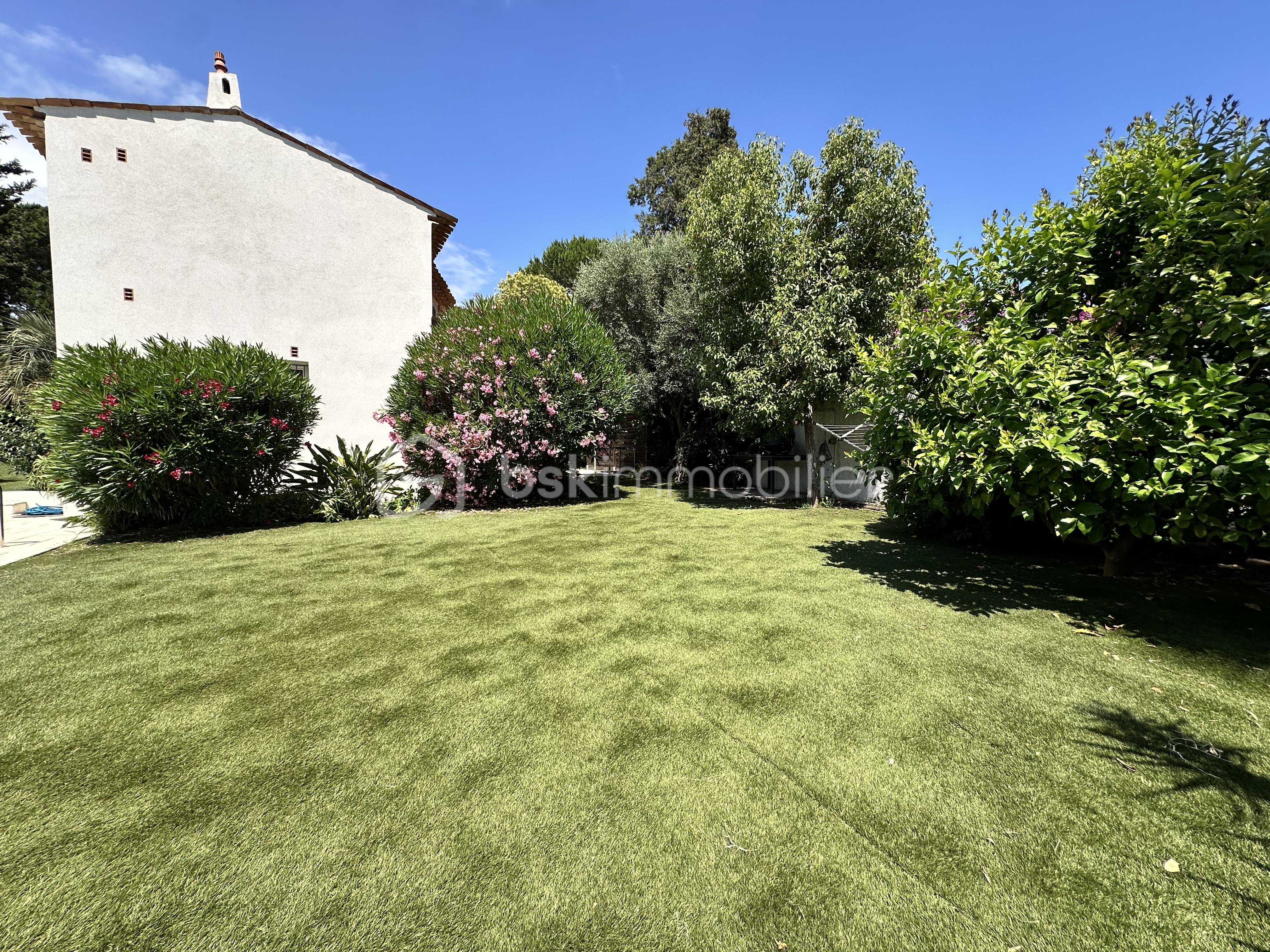 jardin2.jpeg