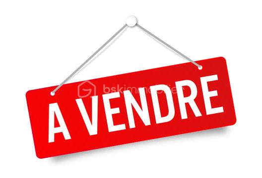 terrain a vendre.jpg
