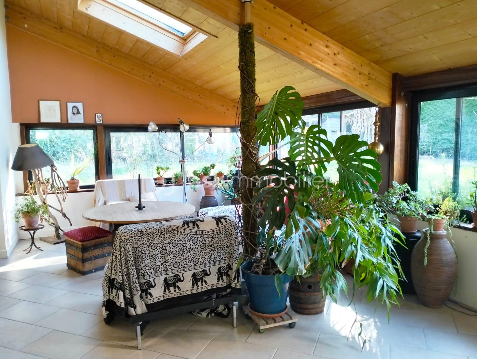 WhatsApp Image 2025-03-06 at 22.35.11.jpeg