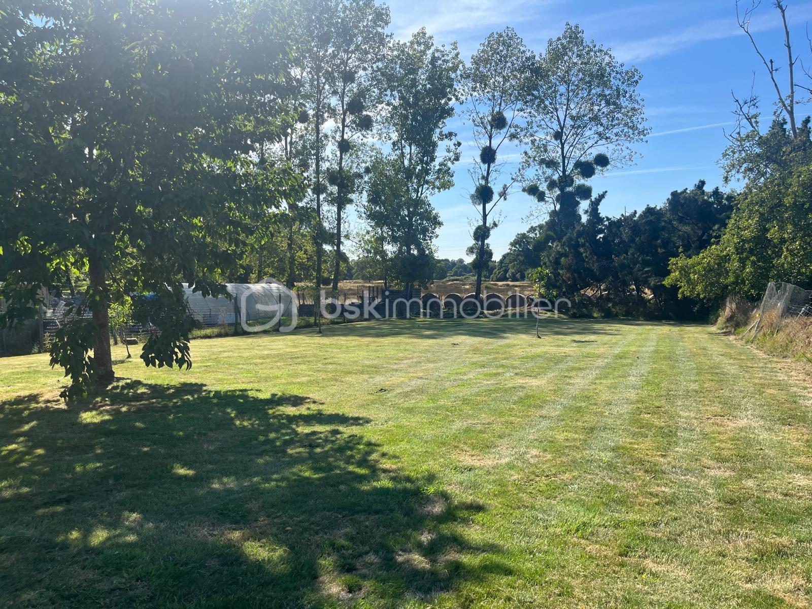 Maison de 168 m² - b40a2473-0d75-4b5c-9621-f06f1f2f31f6.JPG