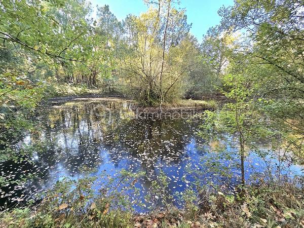 Maison de 187 m² - 20251015_105759.jpg