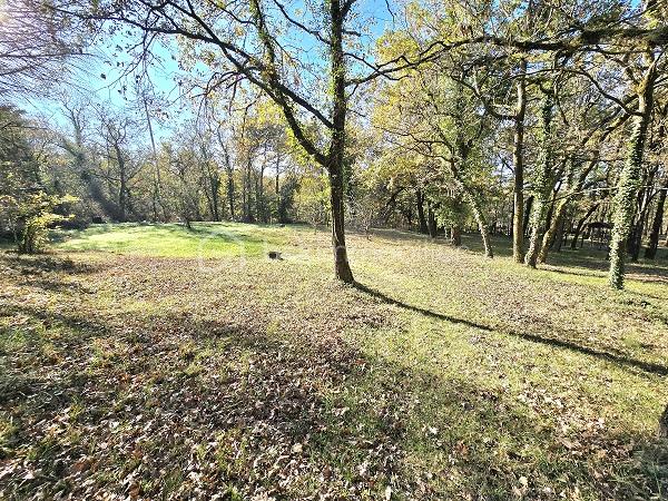 Maison de 187 m² - 20251015_105104.jpg